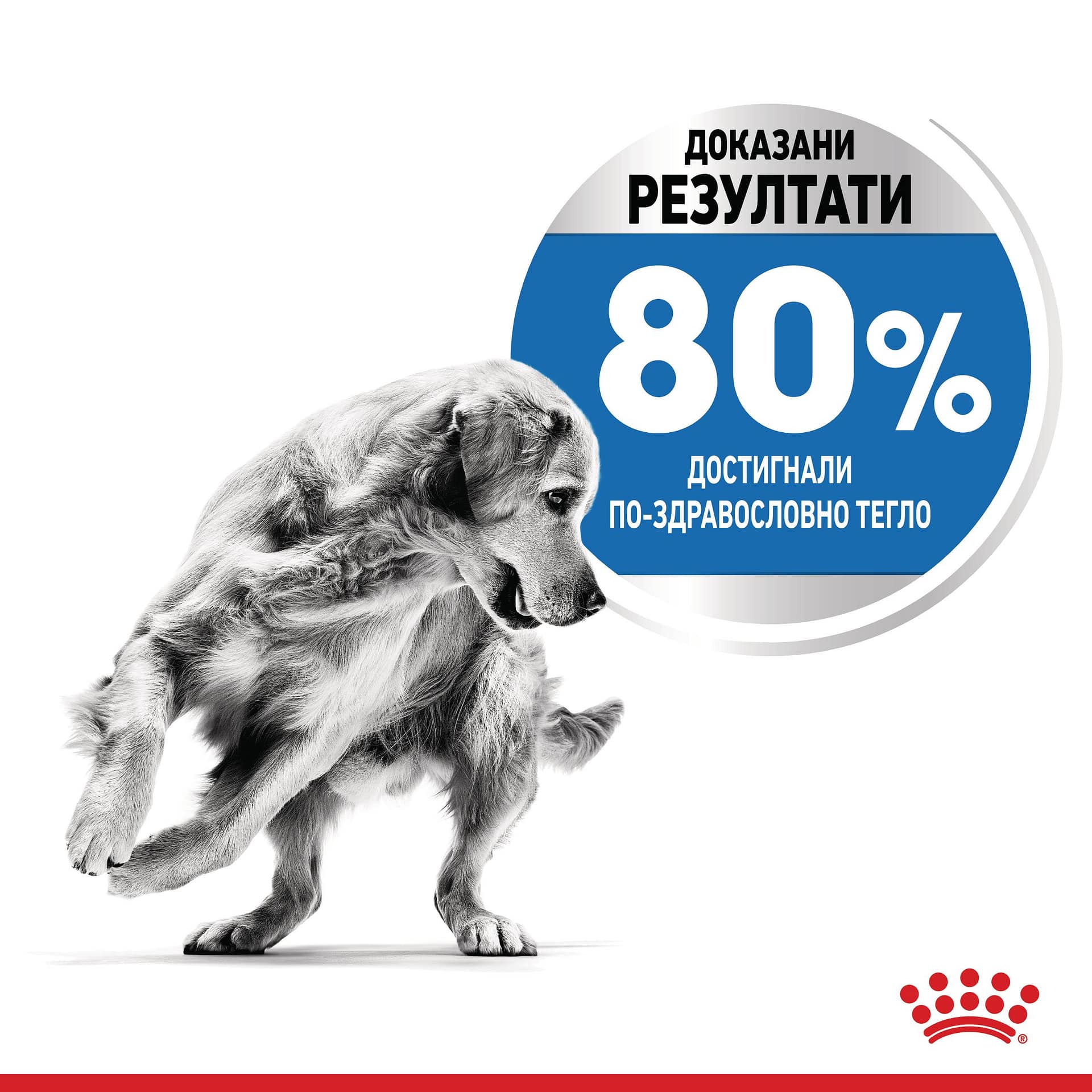ROYAL CANIN® CCN MEDIUM LIGHT WEIGHT CARE 12кг - Image 4
