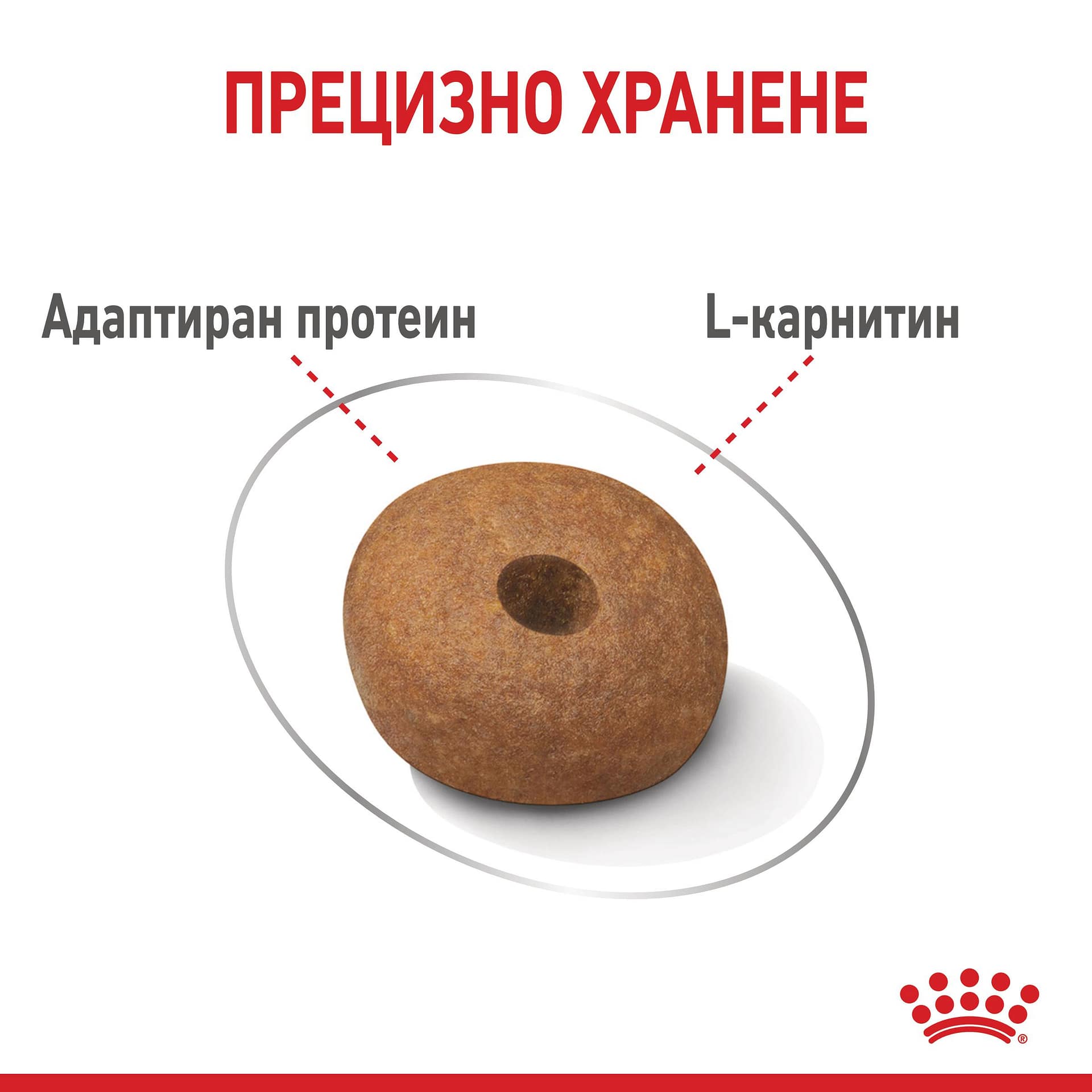 ROYAL CANIN® CCN MEDIUM LIGHT WEIGHT CARE 12кг - Image 2