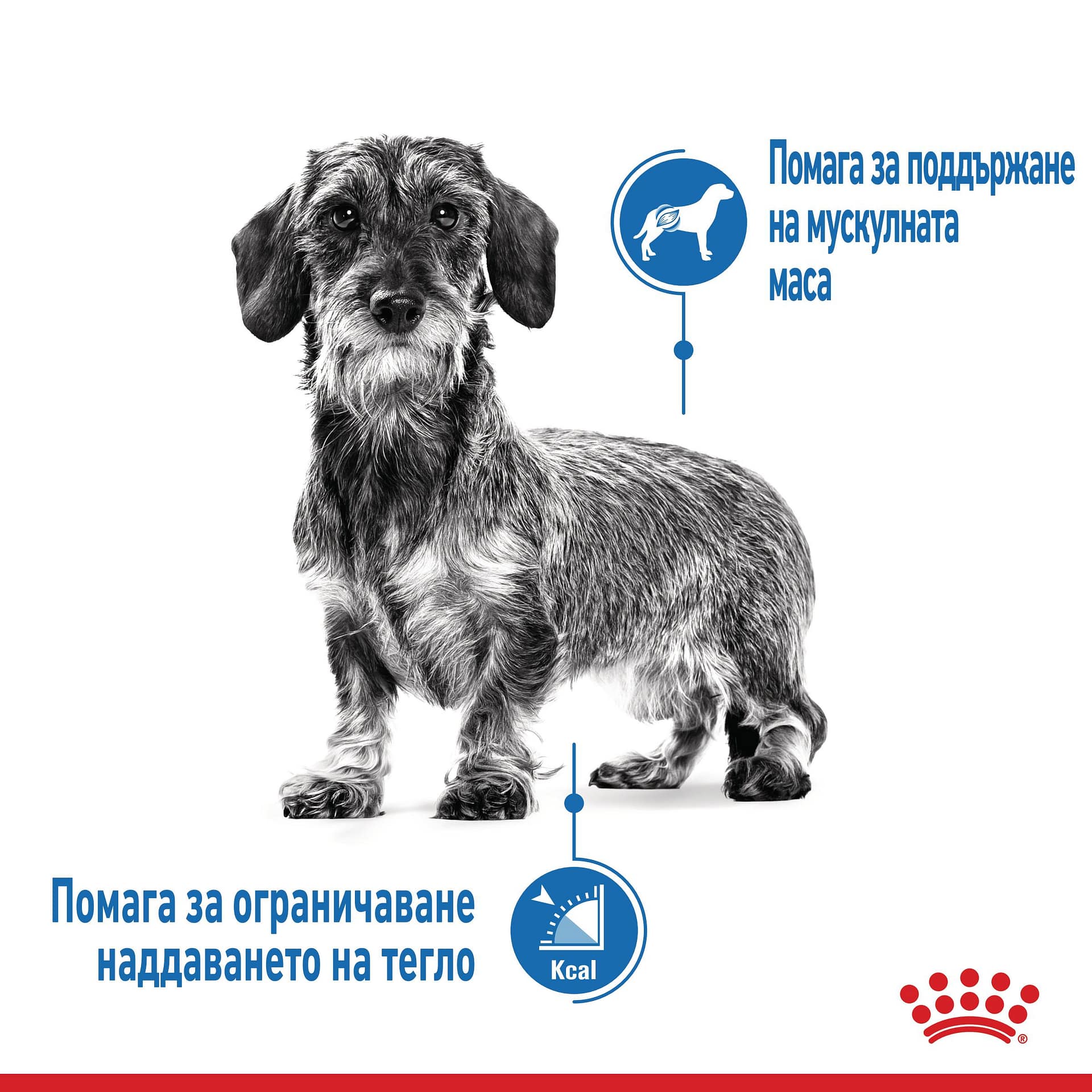 ROYAL CANIN® CCN MINI LIGHT WEIGHT CARE 3кг - Image 5