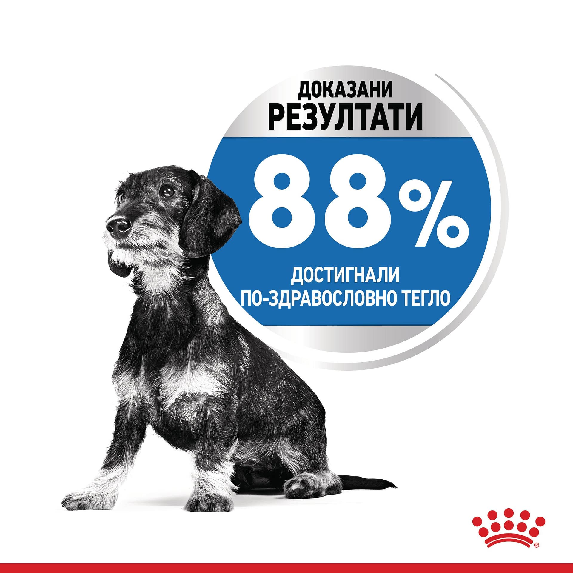 ROYAL CANIN® CCN MINI LIGHT WEIGHT CARE 3кг - Image 4