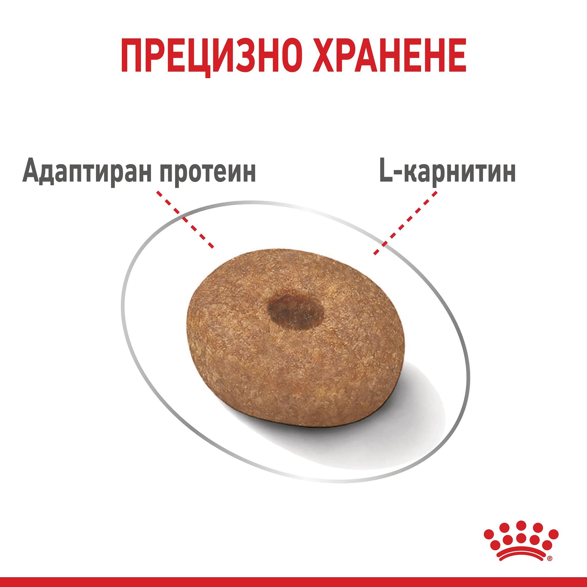 ROYAL CANIN® CCN MINI LIGHT WEIGHT CARE 3кг - Image 2