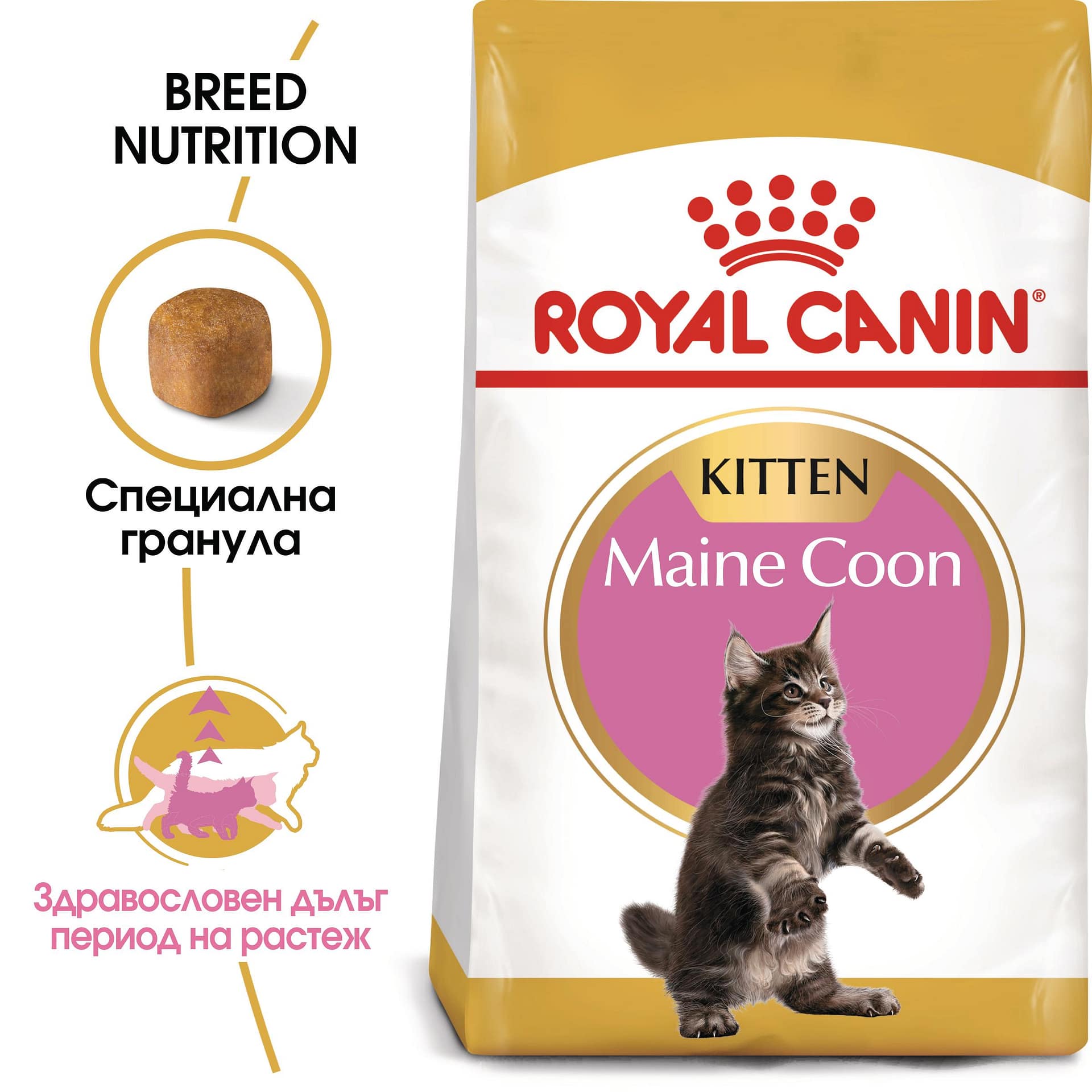 ROYAL CANIN® FBN MAINE COON KITTEN 2кг