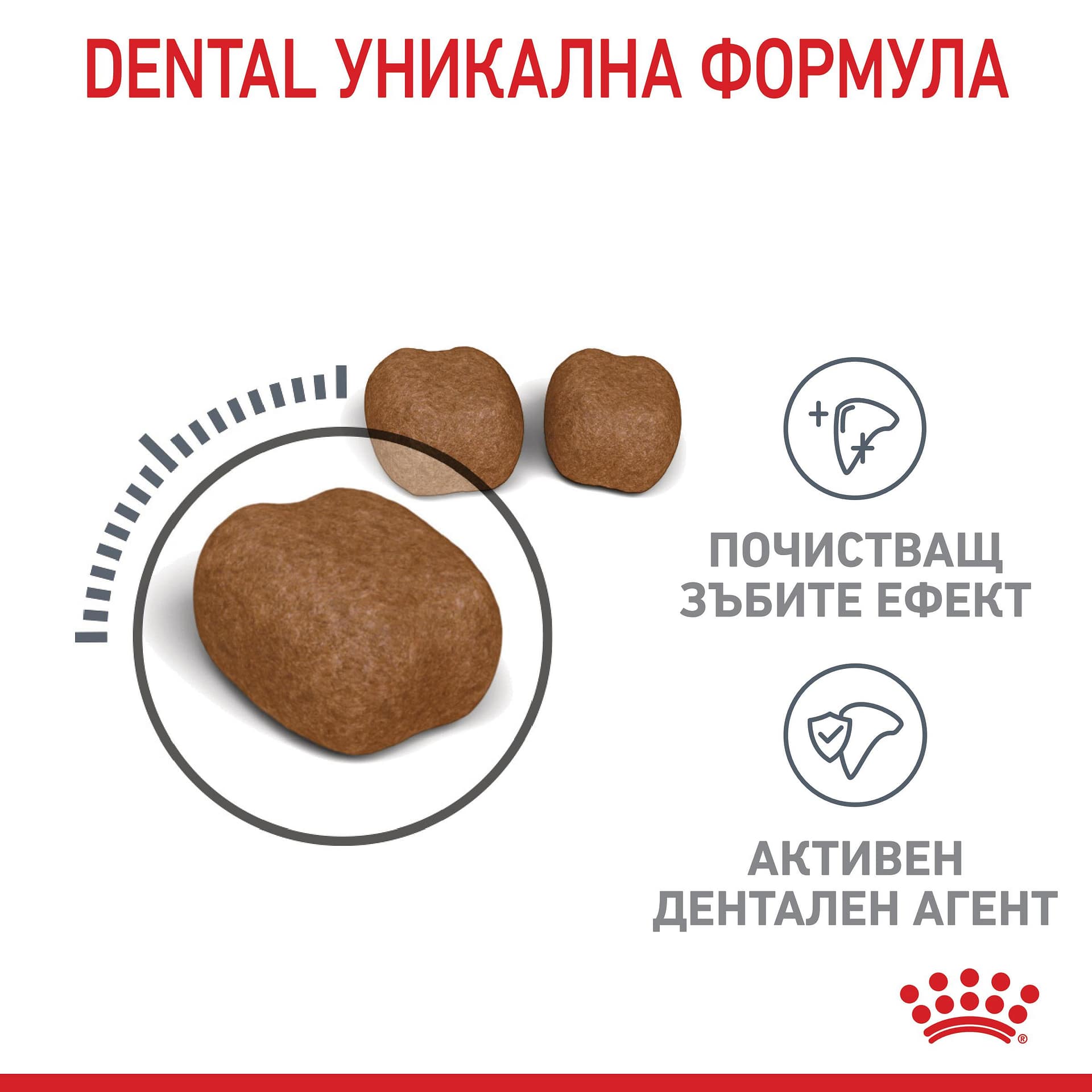 ROYAL CANIN® FCN DENTAL CARE CAT 1.5кг - Image 3