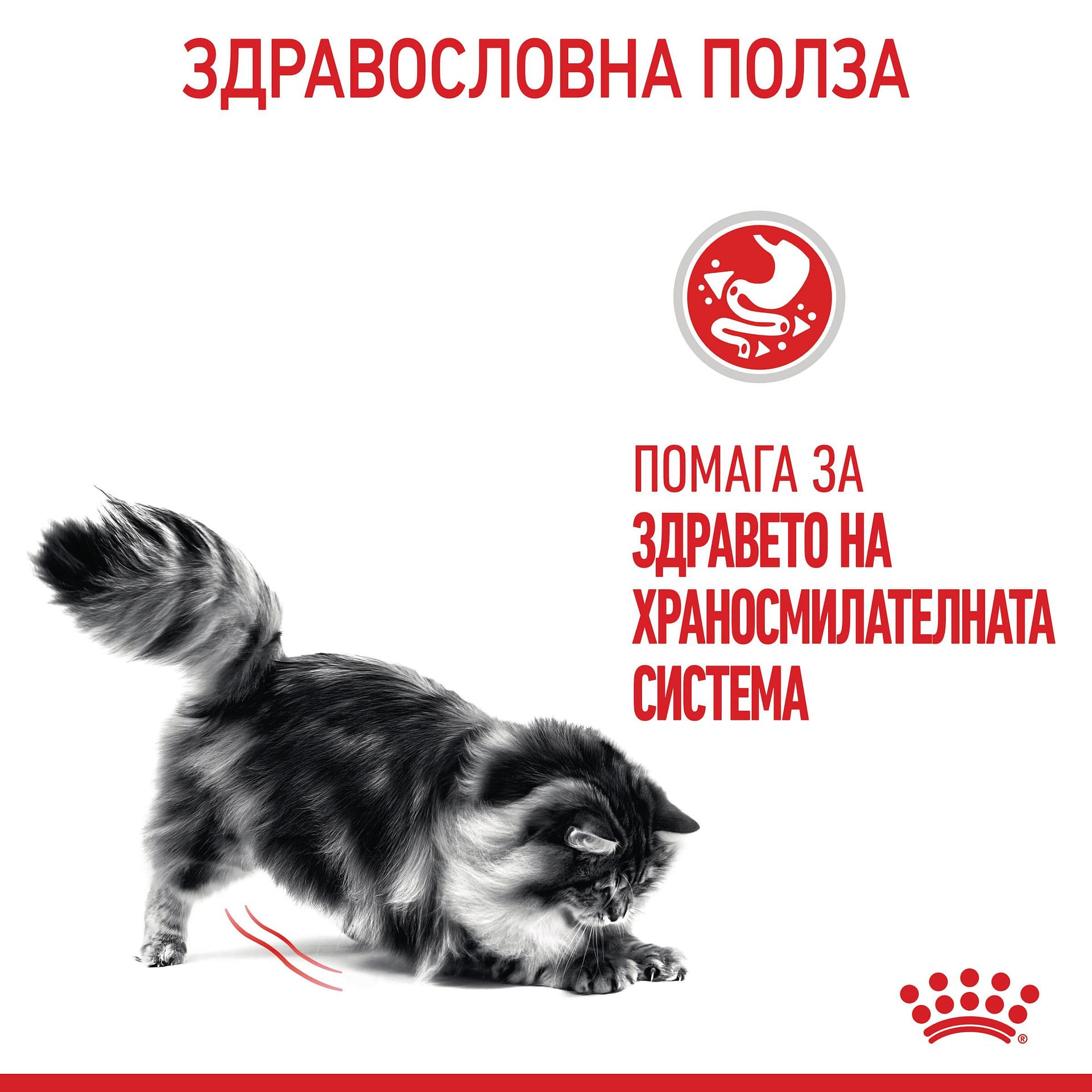 ROYAL CANIN® FCN CARE DIGESTIVE CAT 10кг - Image 6