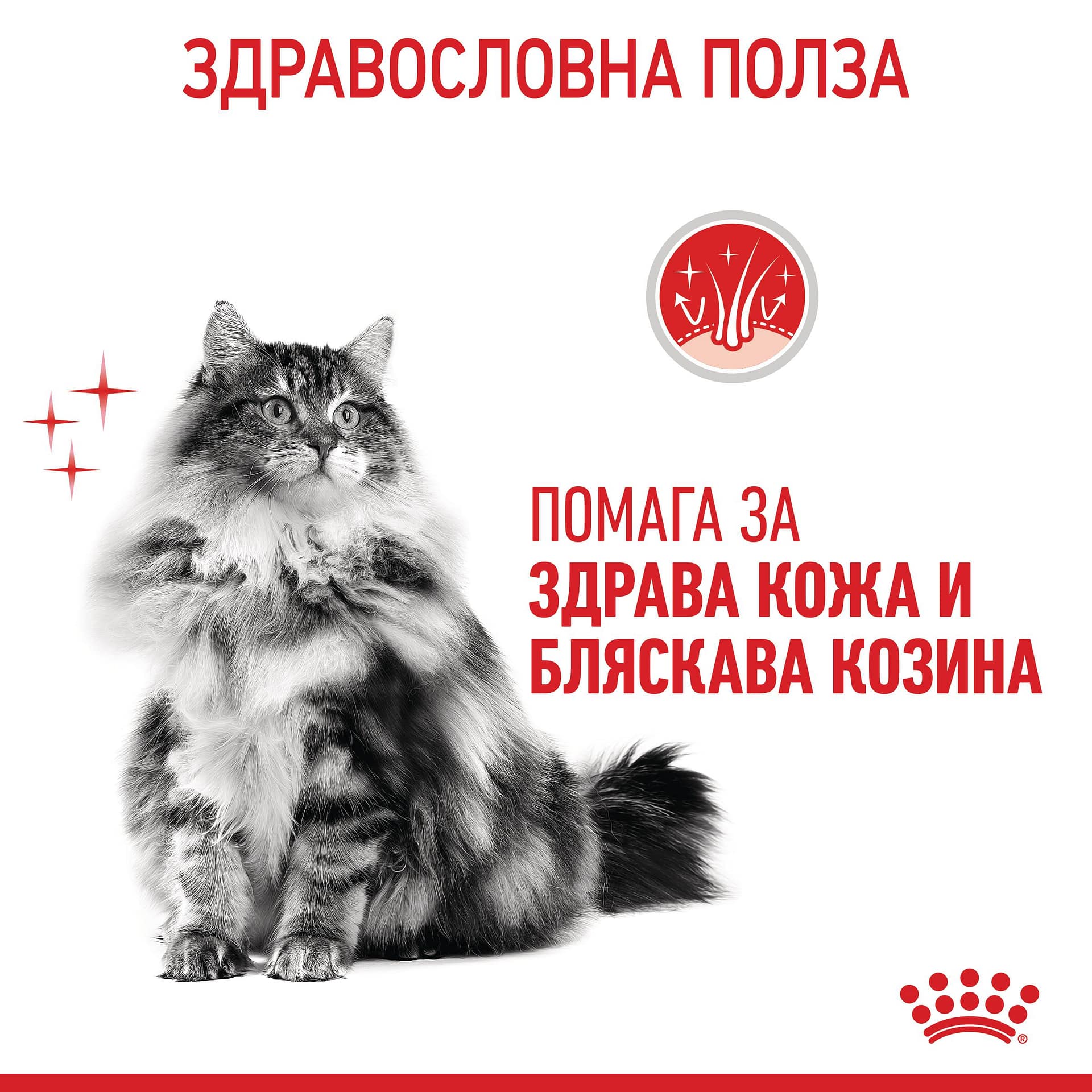 ROYAL CANIN® FCN CARE HAIR&SKIN хапки в сос 85г стек/12бр - Image 5
