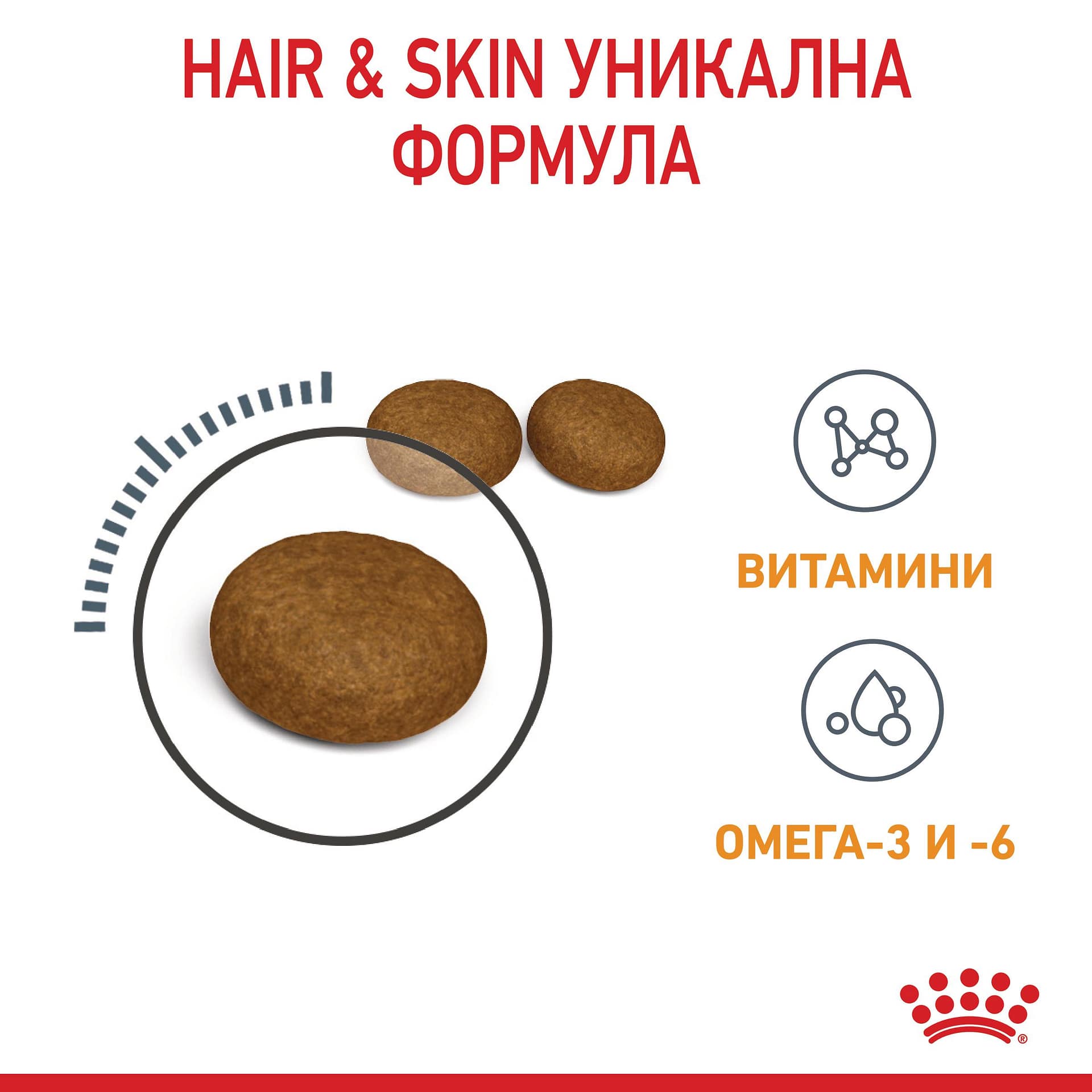 ROYAL CANIN® FCN CARE HAIR&SKIN 4кг - Image 2