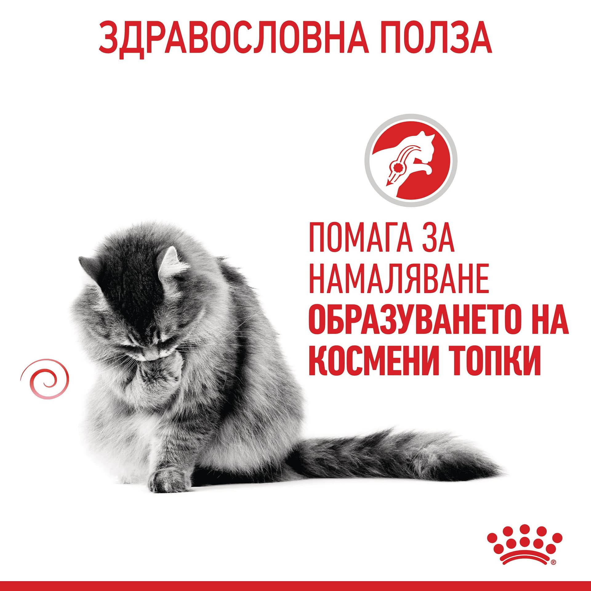 ROYAL CANIN® FCN CARE HAIRBALL 10кг - Image 6