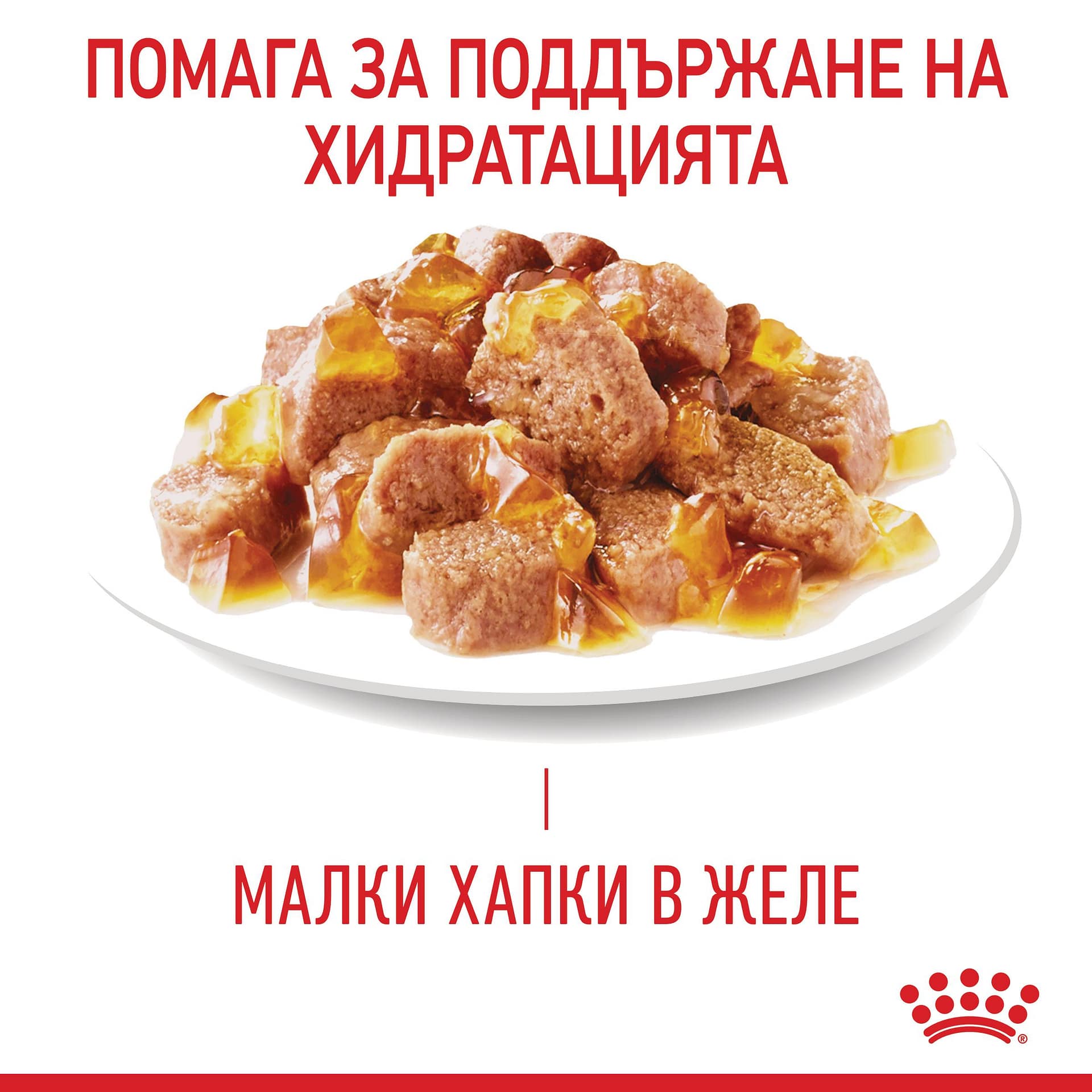 ROYAL CANIN® FCN CARE URINARY хапки в желе 85г стек/12бр - Image 3