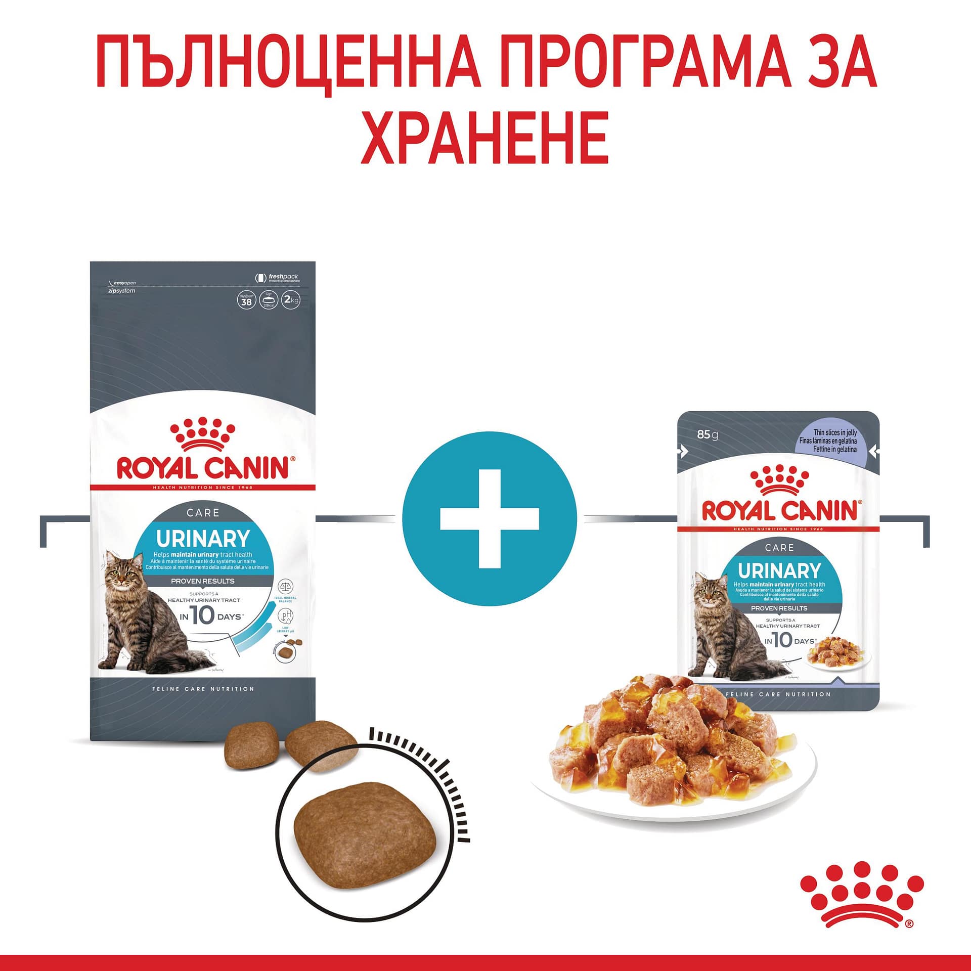 ROYAL CANIN® FCN CARE URINARY хапки в желе 85г стек/12бр - Image 4