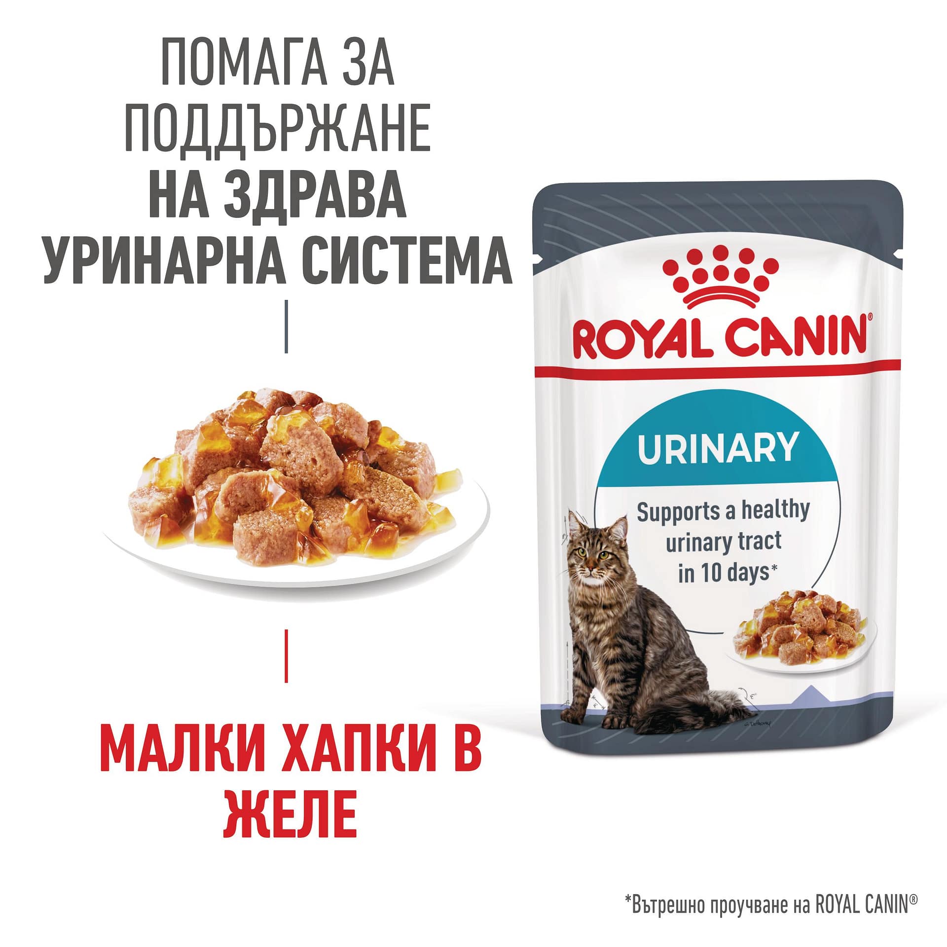ROYAL CANIN® FCN CARE URINARY хапки в желе 85г стек/12бр - Image 2