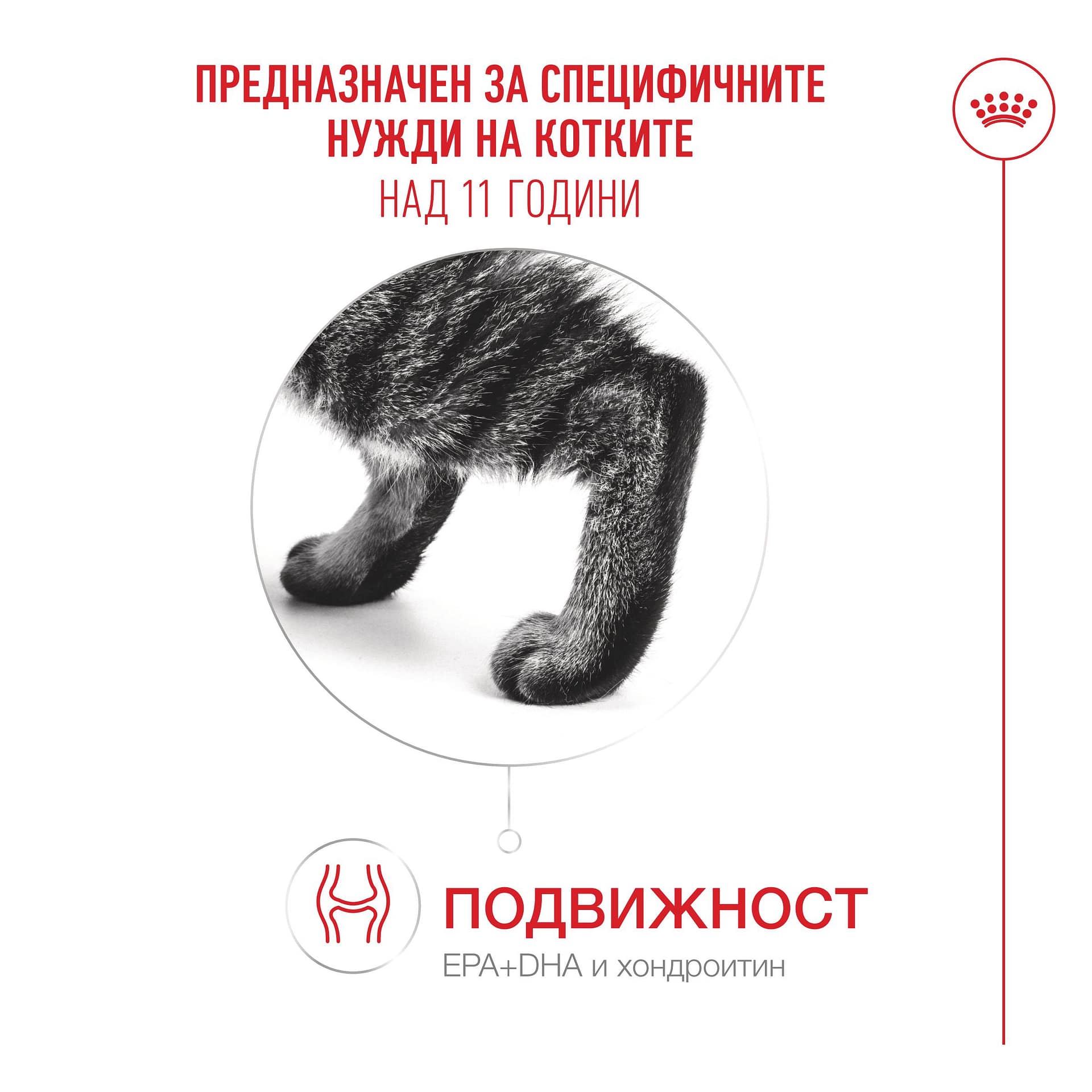 ROYAL CANIN® FHN HEALTHY AGEING11+ 4кг - Image 8