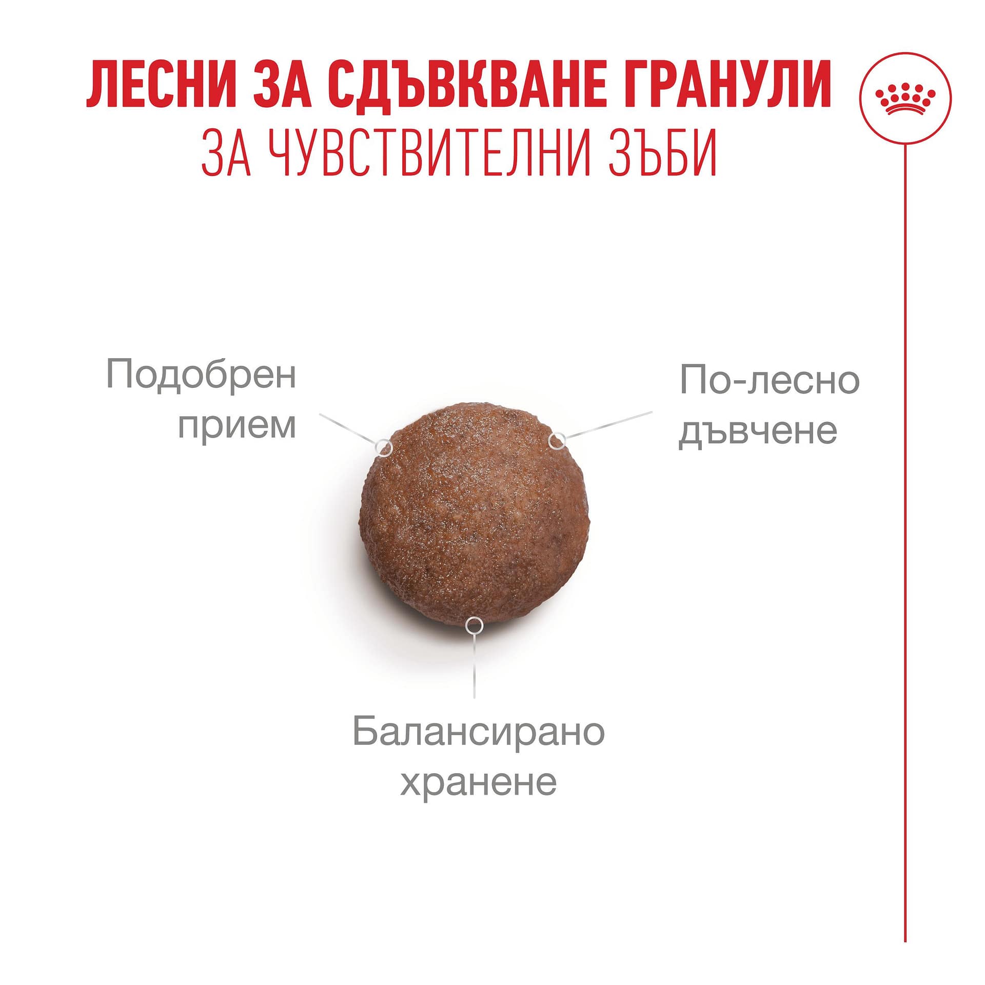 ROYAL CANIN® FHN HEALTHY AGEING11+ 4кг - Image 6