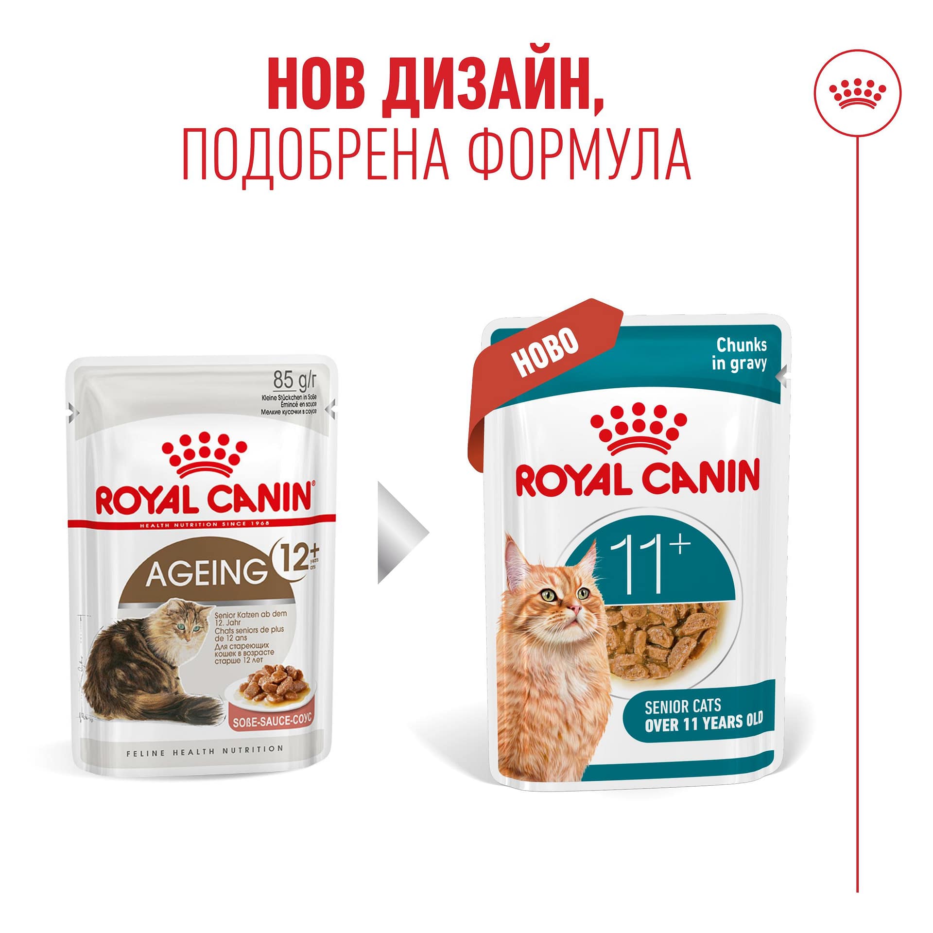 ROYAL CANIN® FHN AGEING 11+ 12x85G - Image 2