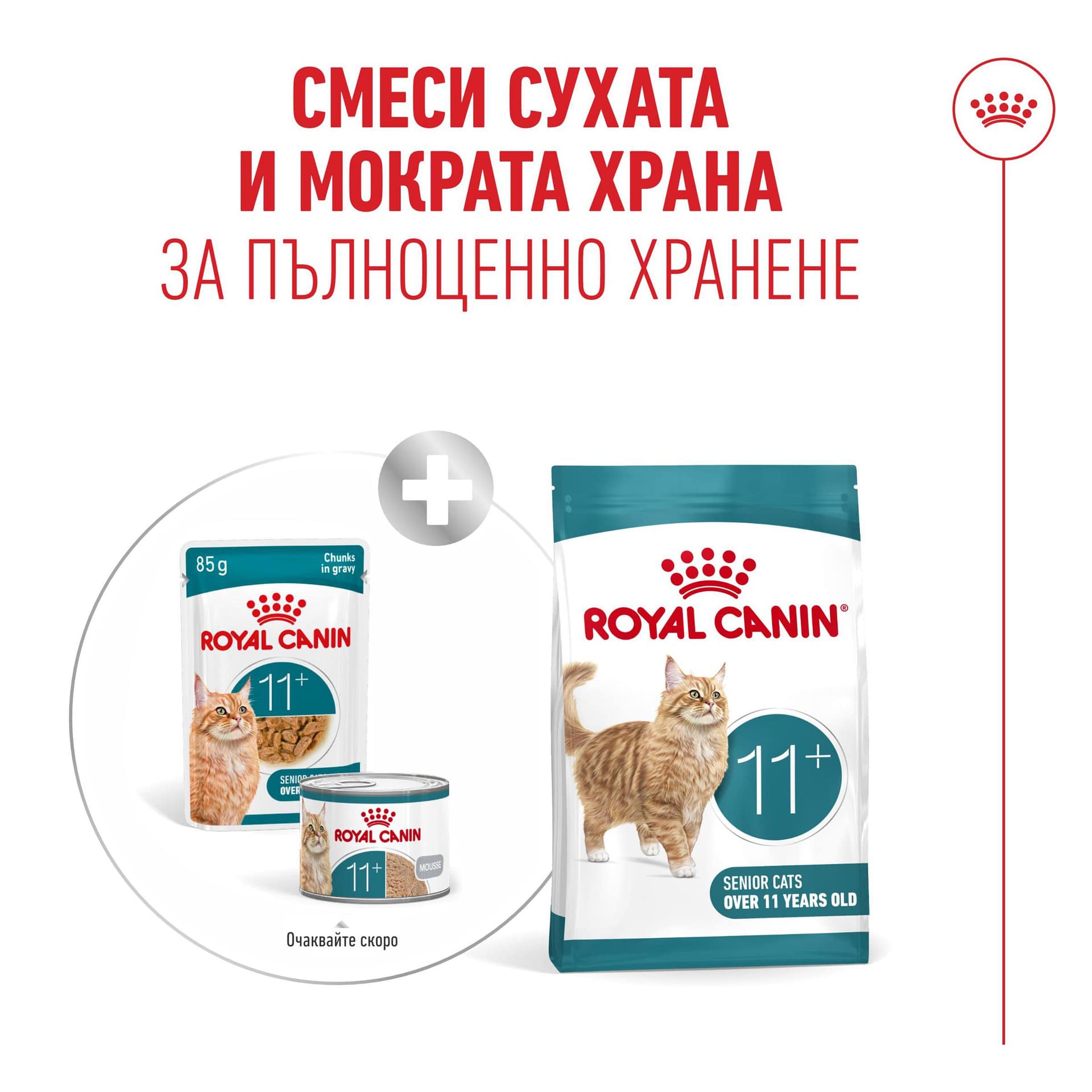 ROYAL CANIN® FHN AGEING 11+ 12x85G - Image 4