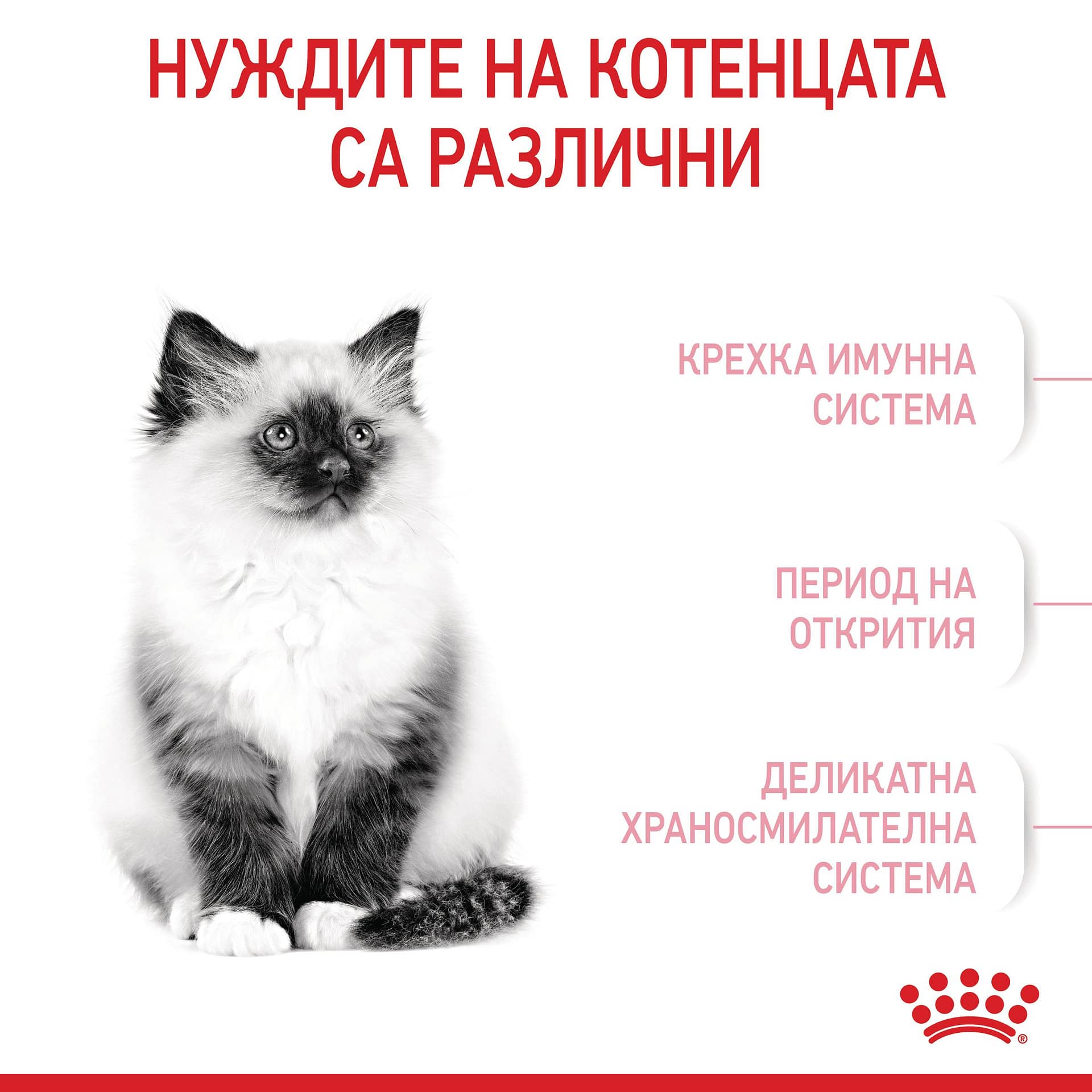 ROYAL CANIN® FHN KITTEN 2кг - Image 7