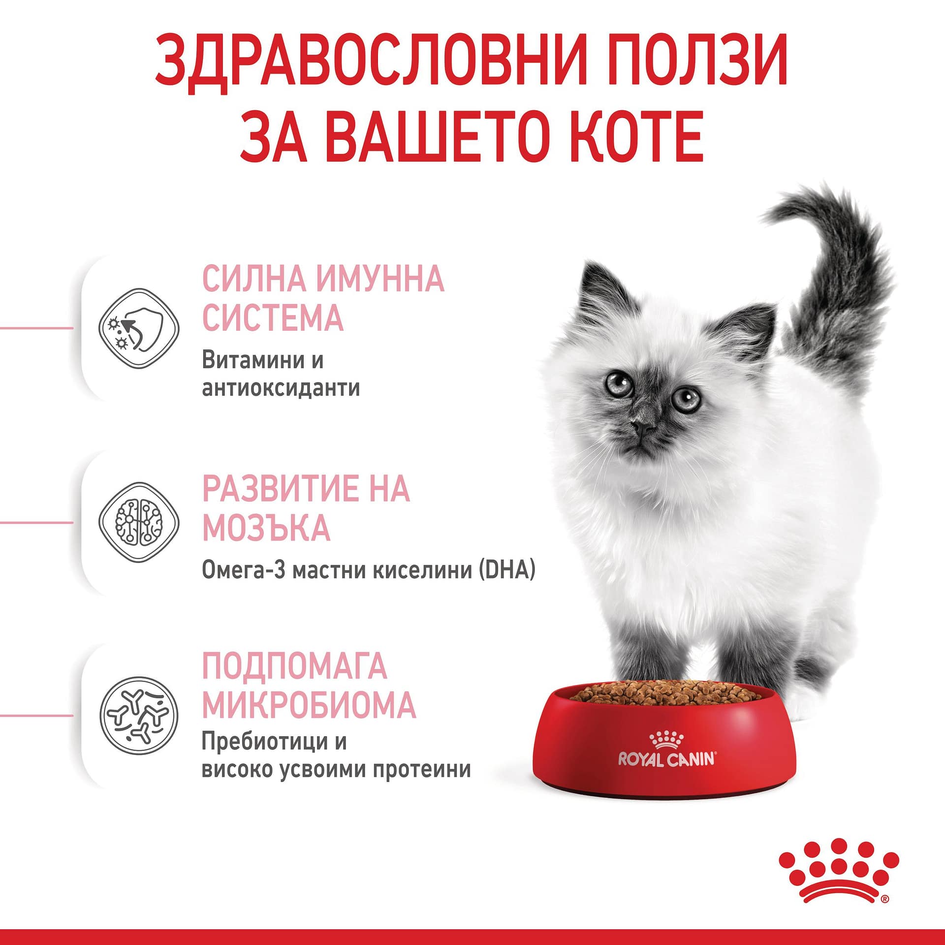 ROYAL CANIN® FHN KITTEN 2кг - Image 6
