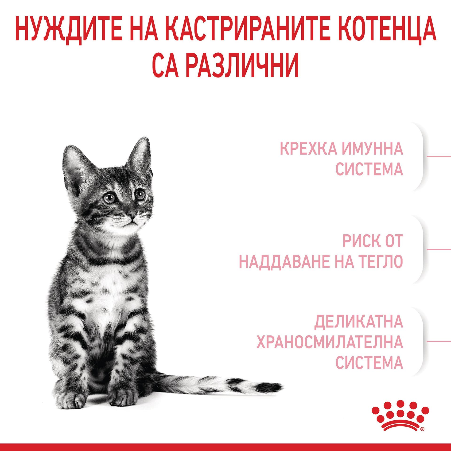 ROYAL CANIN® FHN KITTEN STERILISED 2кг - Image 5