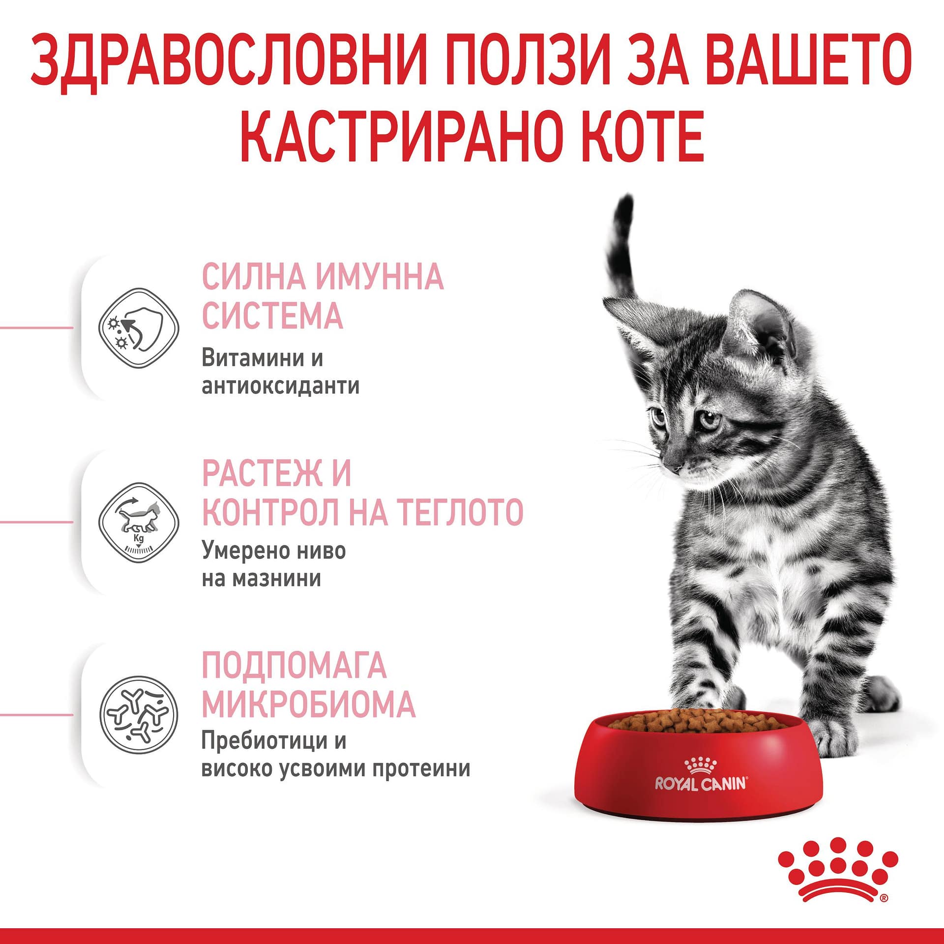 ROYAL CANIN® FHN KITTEN STERILISED 2кг - Image 4