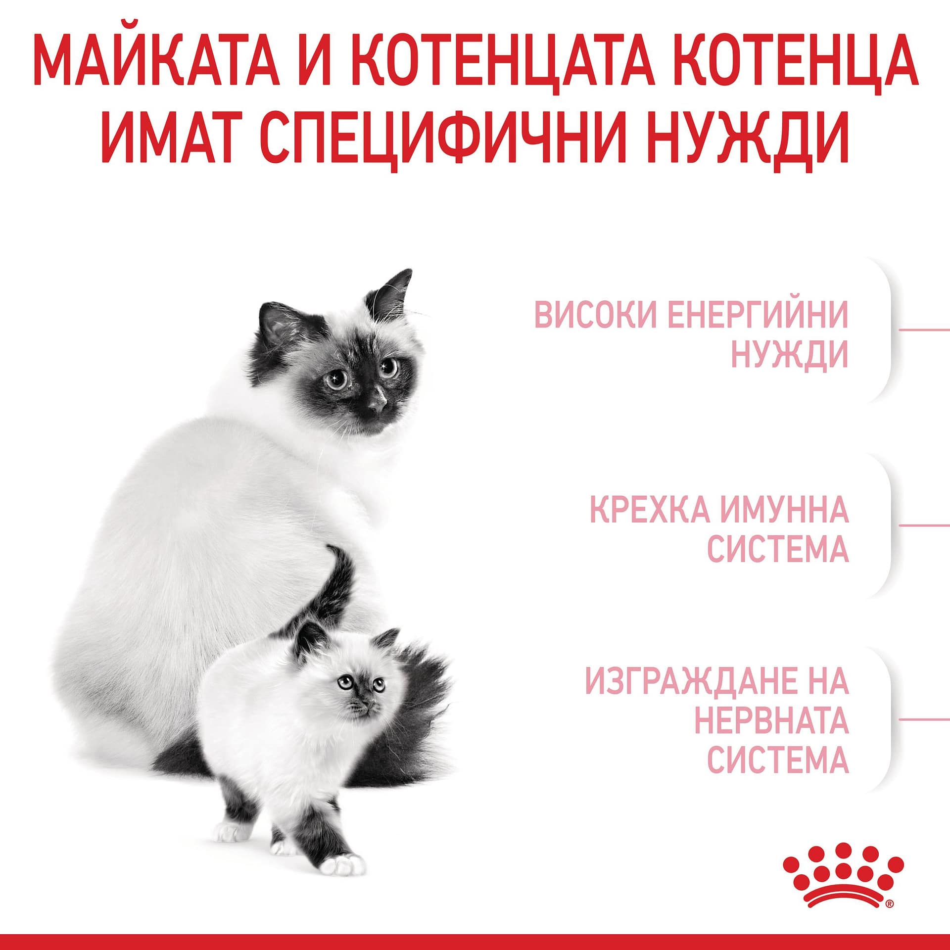 ROYAL CANIN® FHN MOTHER & BABYCAT 4кг - Image 7