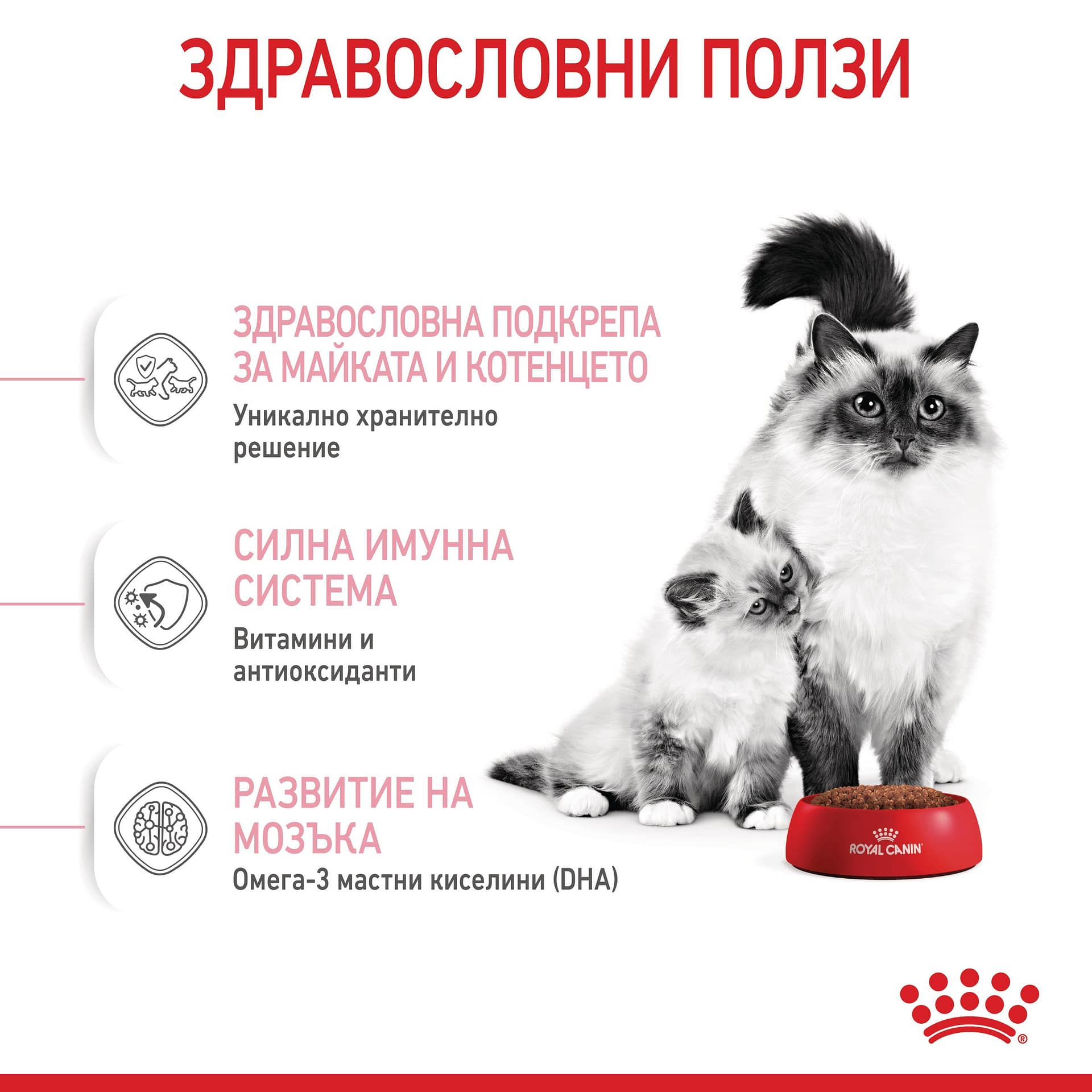 ROYAL CANIN® FHN MOTHER & BABYCAT 4кг - Image 6