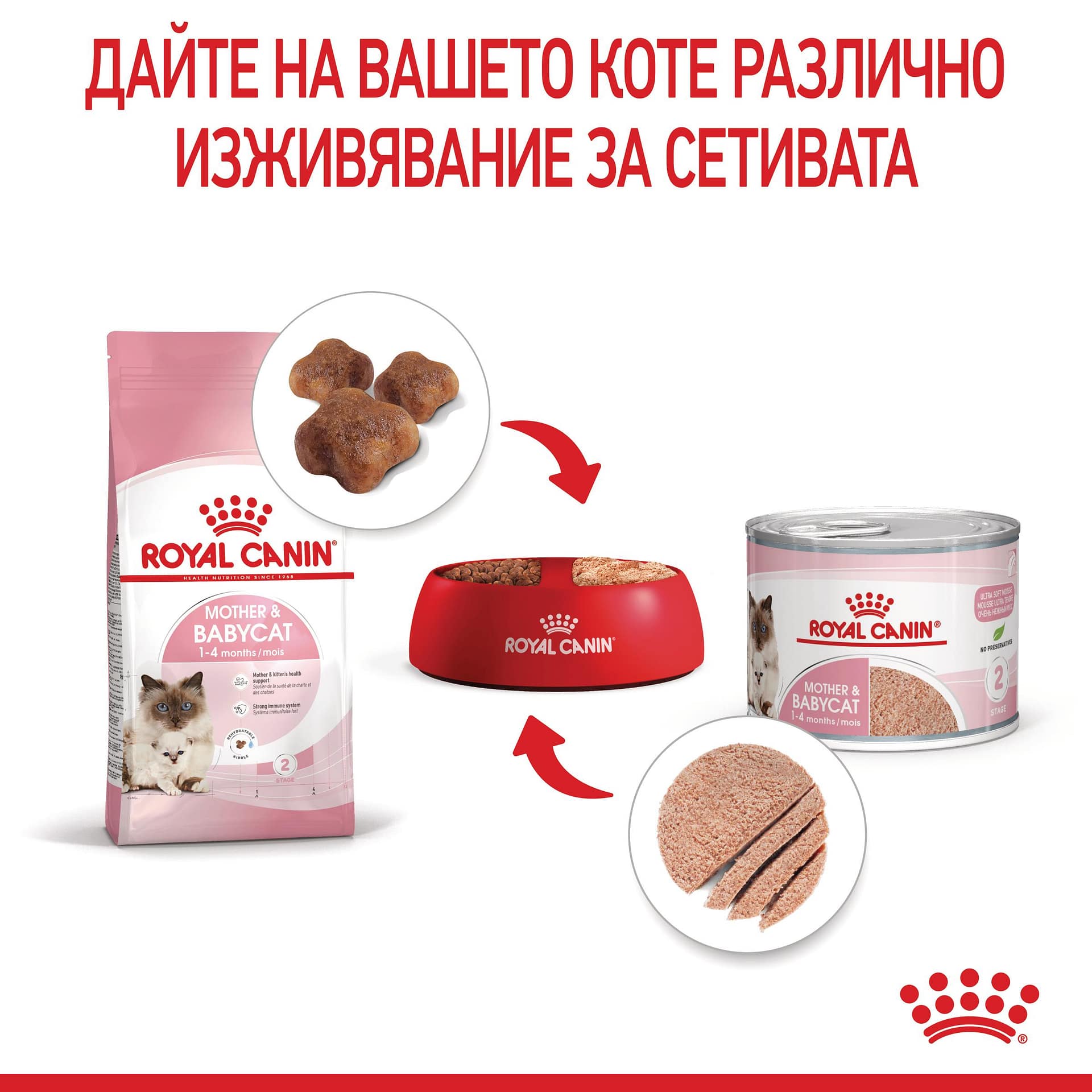 ROYAL CANIN® FHN MOTHER & BABYCAT 4кг - Image 5