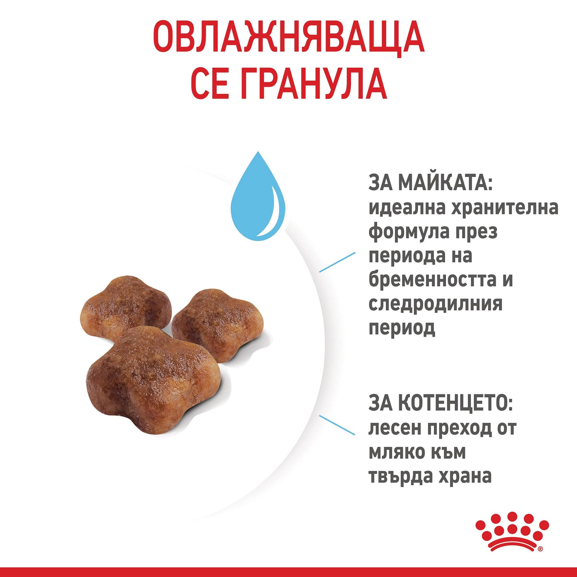ROYAL CANIN® FHN MOTHER & BABYCAT 4кг - Image 4