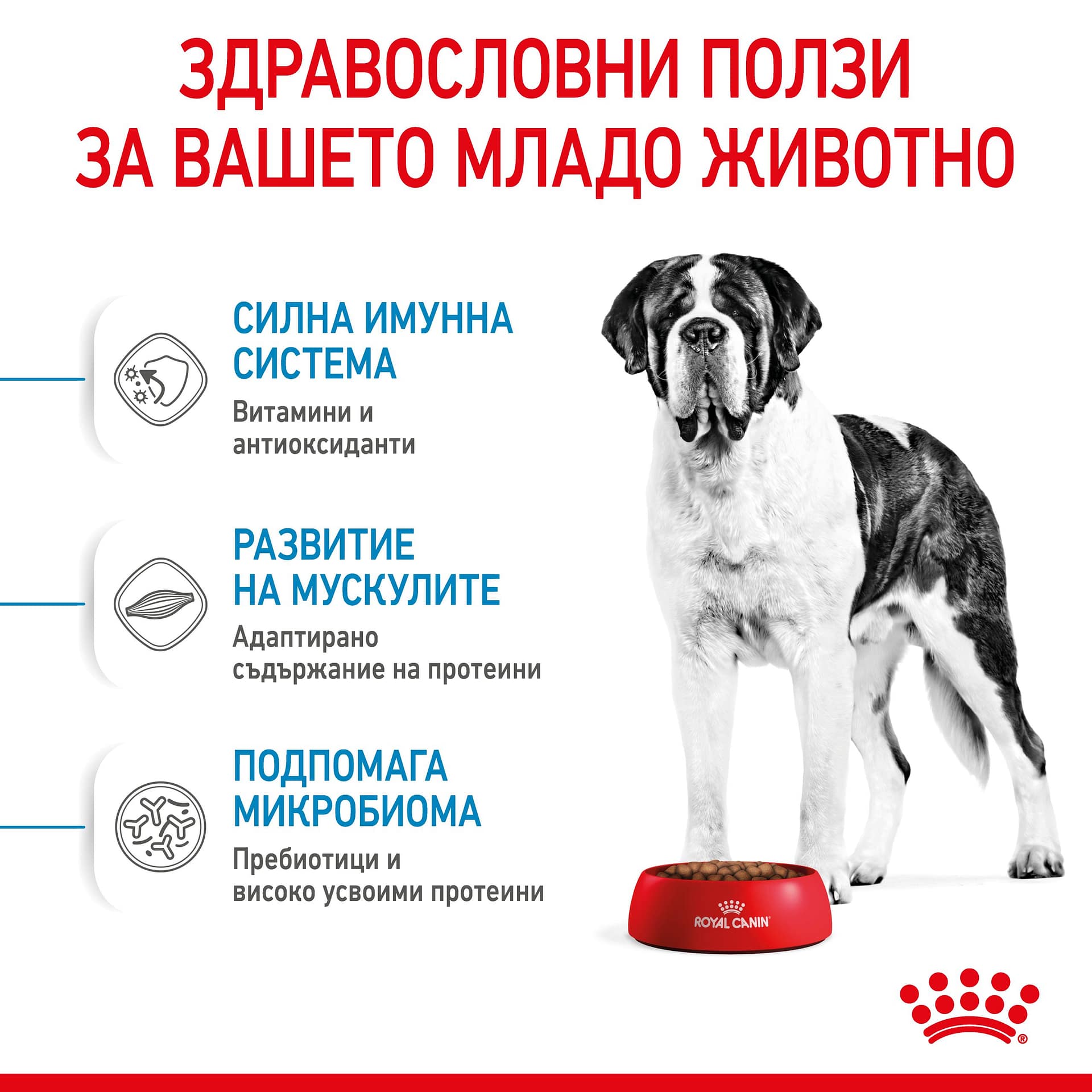 ROYAL CANIN® SHN GIANT JUNIOR 15кг - Image 6