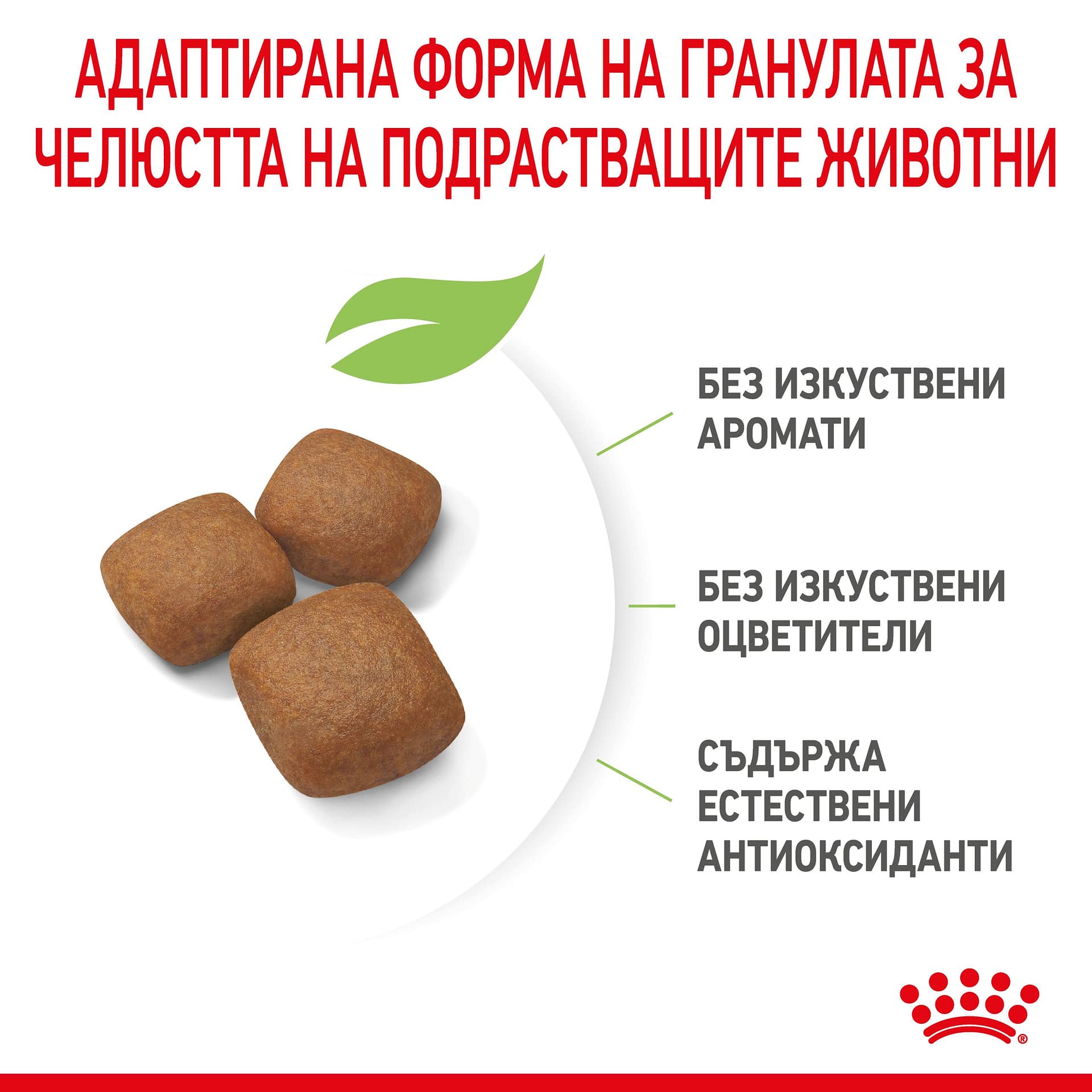 ROYAL CANIN® SHN GIANT JUNIOR 15кг - Image 5