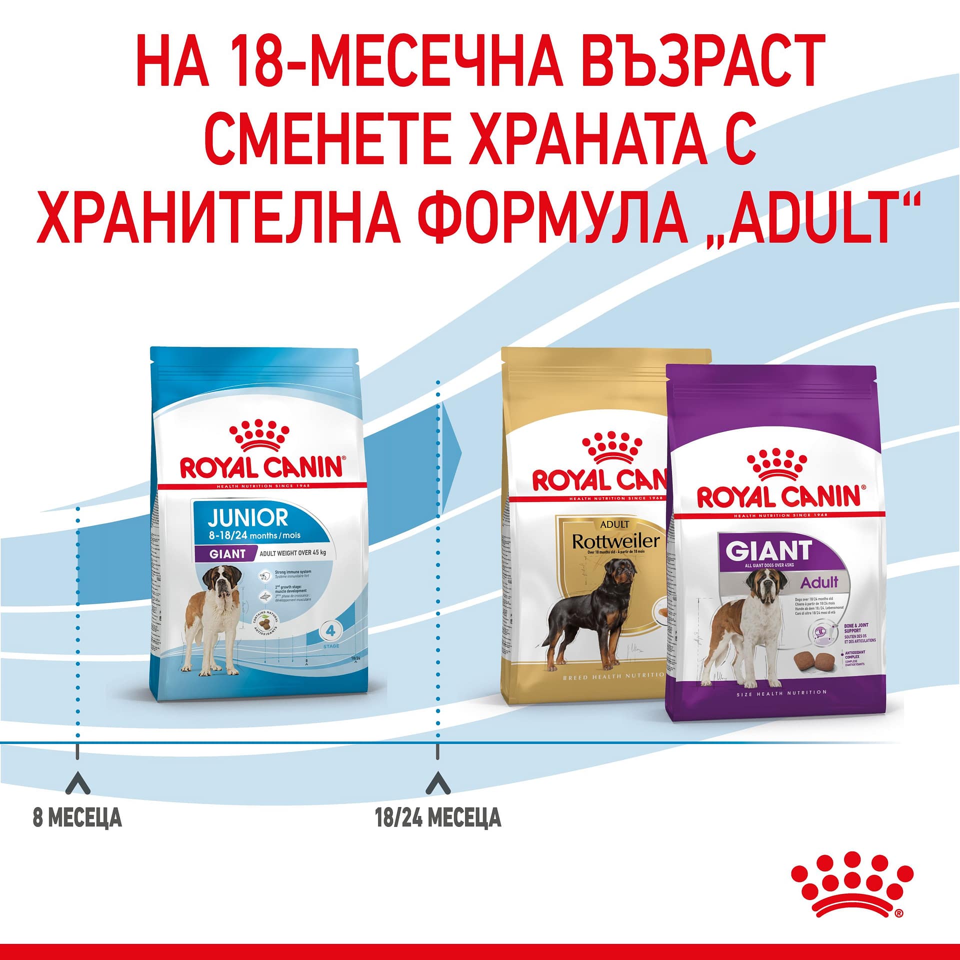 ROYAL CANIN® SHN GIANT JUNIOR 15кг - Image 4