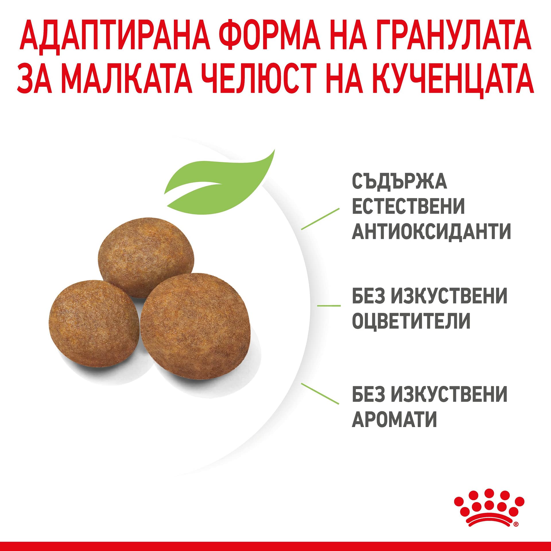ROYAL CANIN® SHN MAXI PUPPY 15кг - Image 3