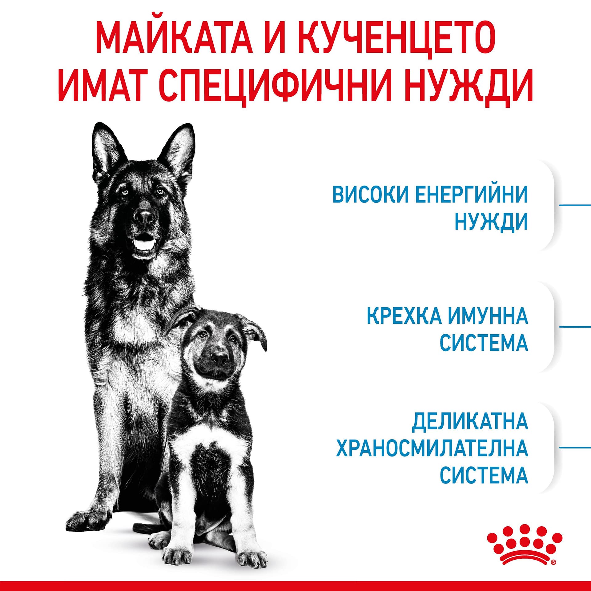 ROYAL CANIN® SHN MAXI STARTER MOTHER & BABYDOG 15кг - Image 7