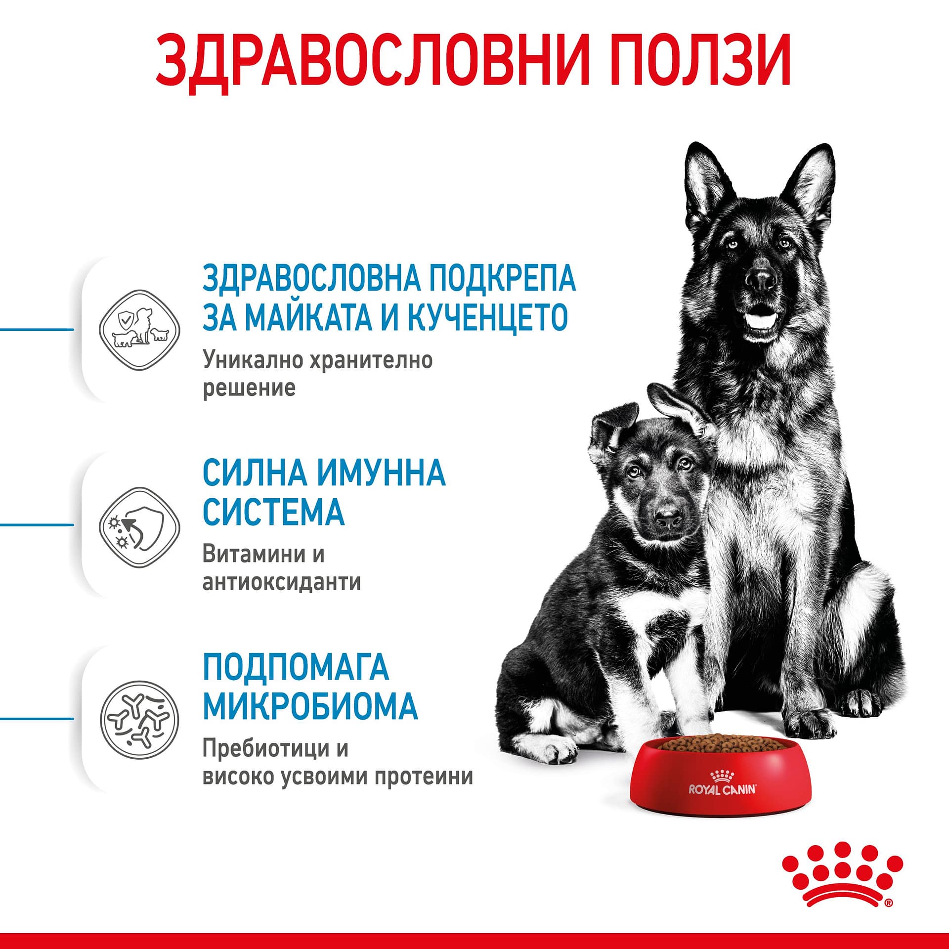 ROYAL CANIN® SHN MAXI STARTER MOTHER & BABYDOG 15кг - Image 6