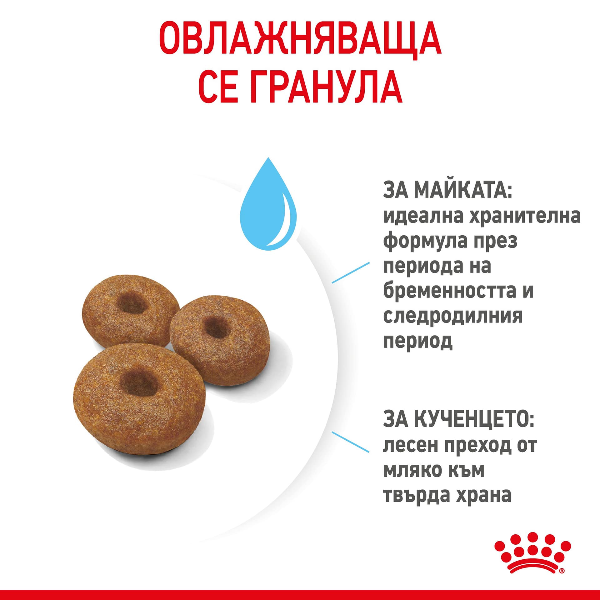 ROYAL CANIN® SHN MAXI STARTER MOTHER & BABYDOG 15кг - Image 4