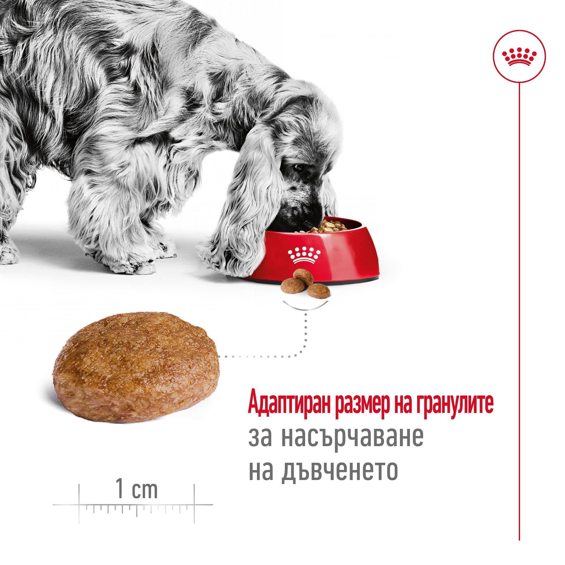 ROYAL CANIN® SHN MEDIUM ADULT 7+ 15кг - Image 5