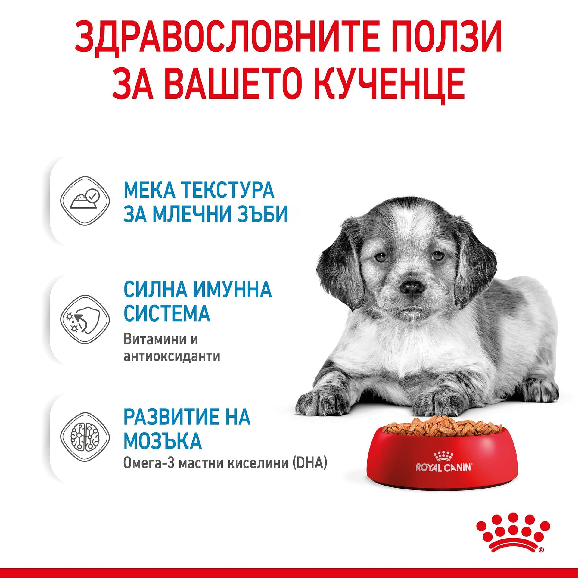 ROYAL CANIN® SHN MEDIUM PUPPY хапки в сос 140г - Image 5