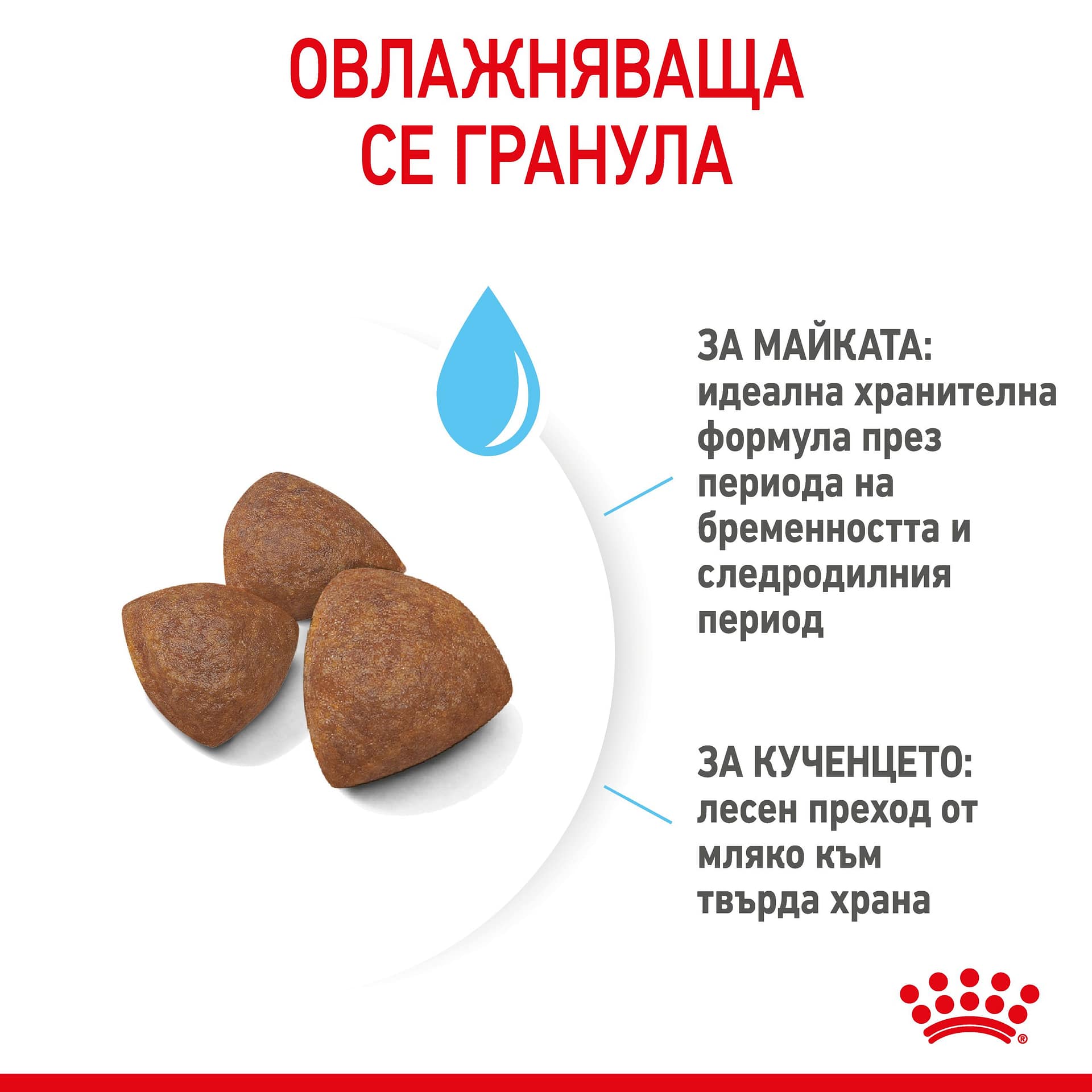 ROYAL CANIN® SHN MEDIUM STARTER 4кг - Image 3