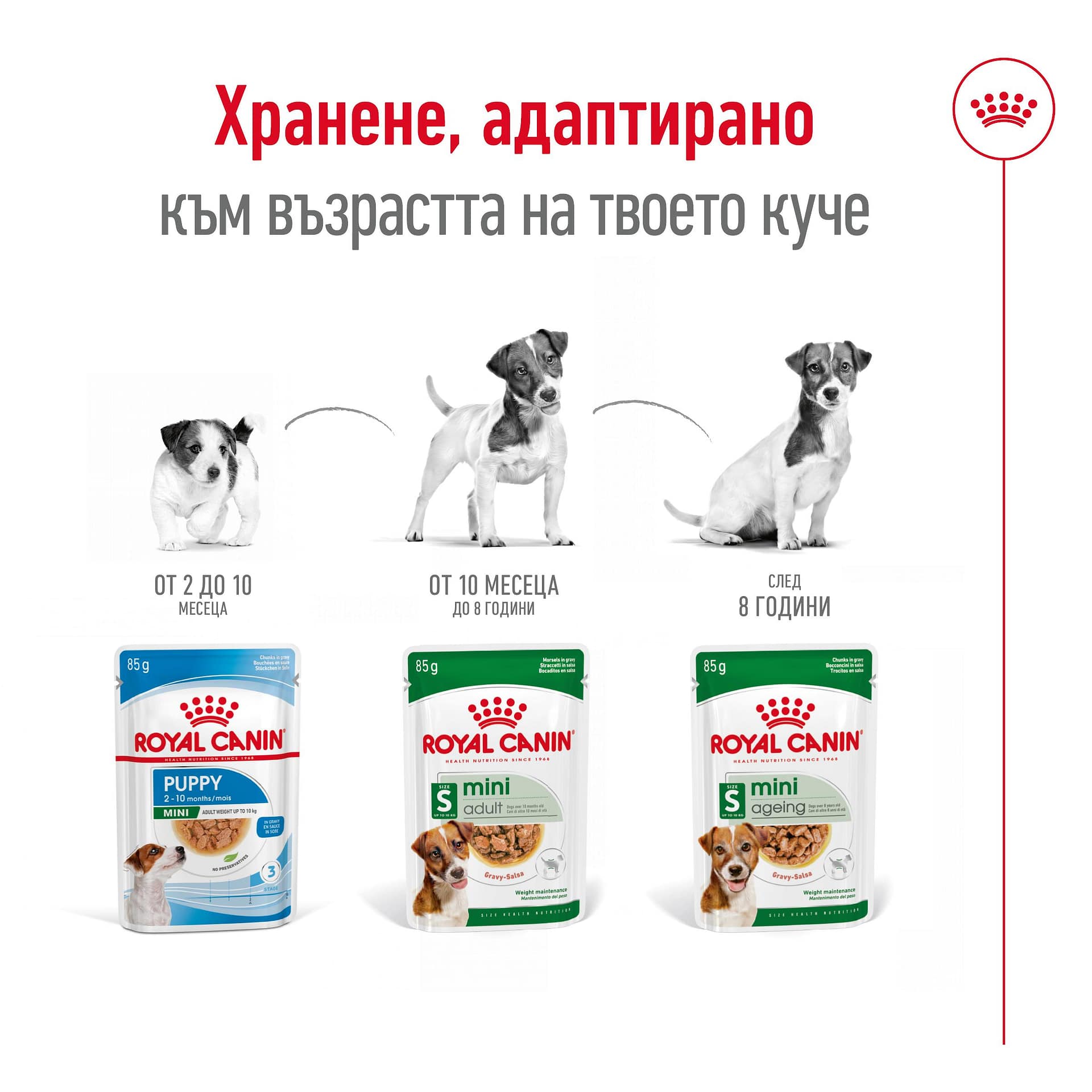 ROYAL CANIN® SHN MINI ADULT хапки в сос 85г - Image 4