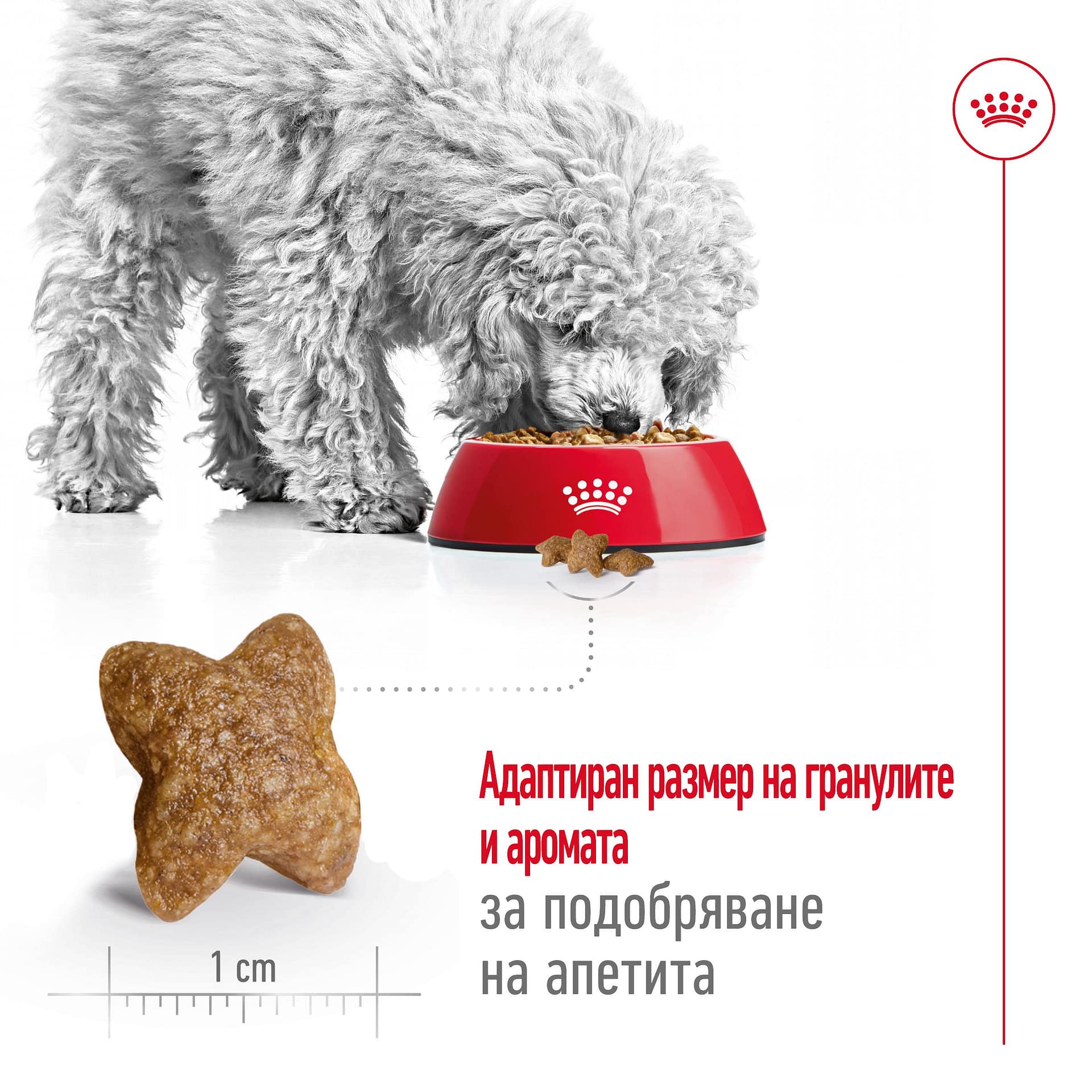 ROYAL CANIN® SHN MINI ADULT 2 кг - Image 5