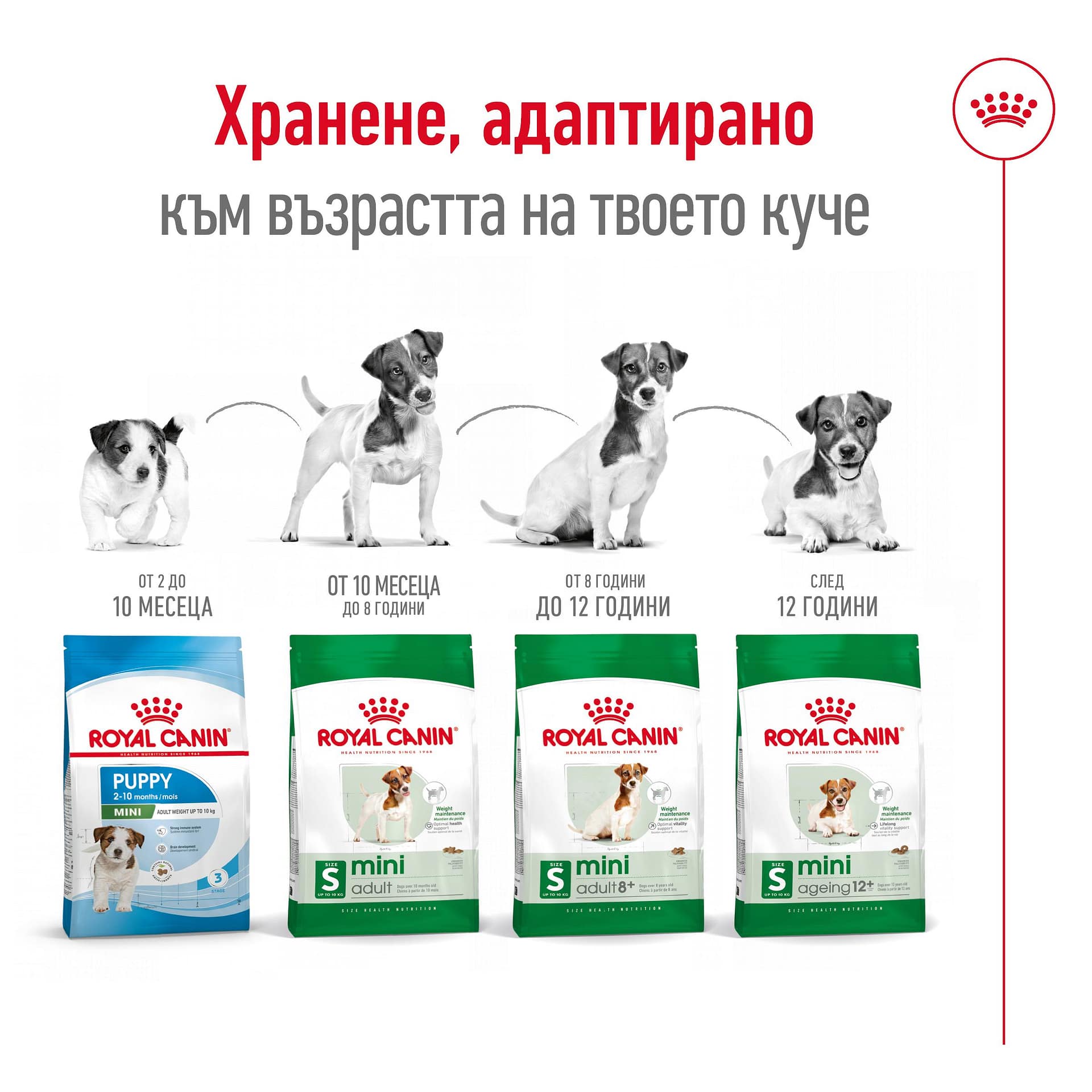 ROYAL CANIN® SHN MINI ADULT 2 кг - Image 4