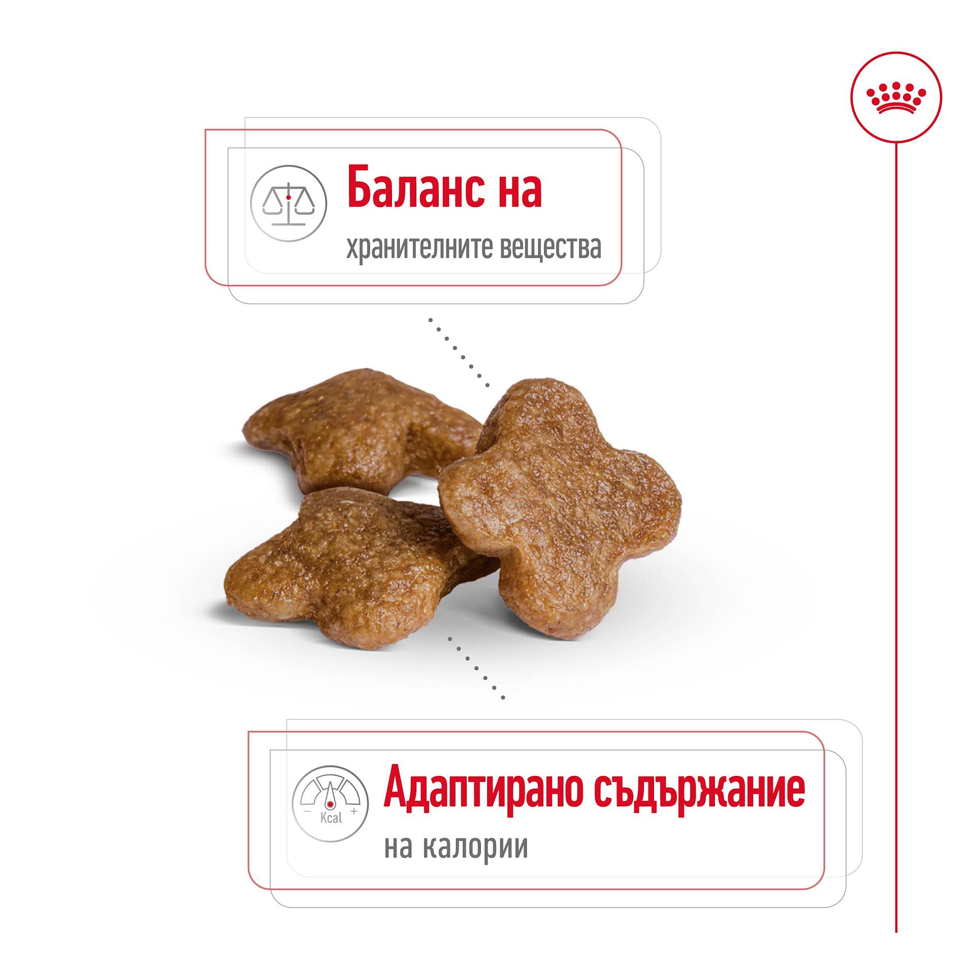 ROYAL CANIN® SHN MINI ADULT 8+ 2кг - Image 4