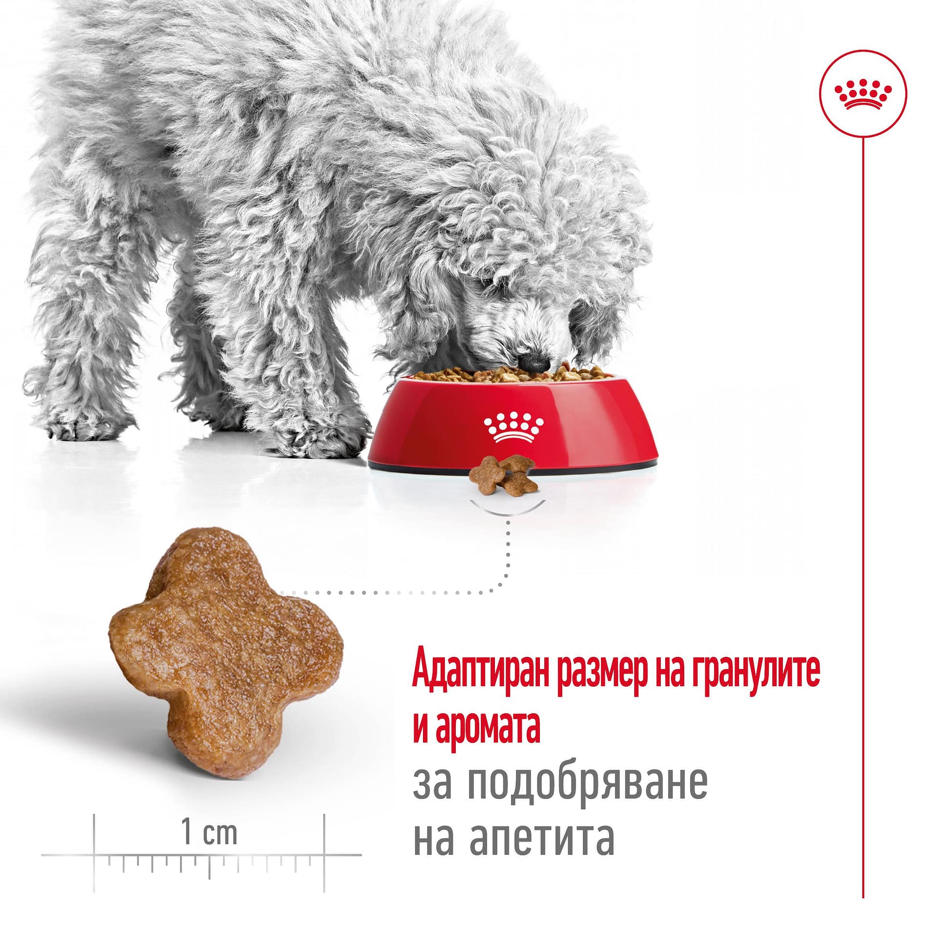ROYAL CANIN® SHN MINI ADULT 8+ 2кг - Image 5