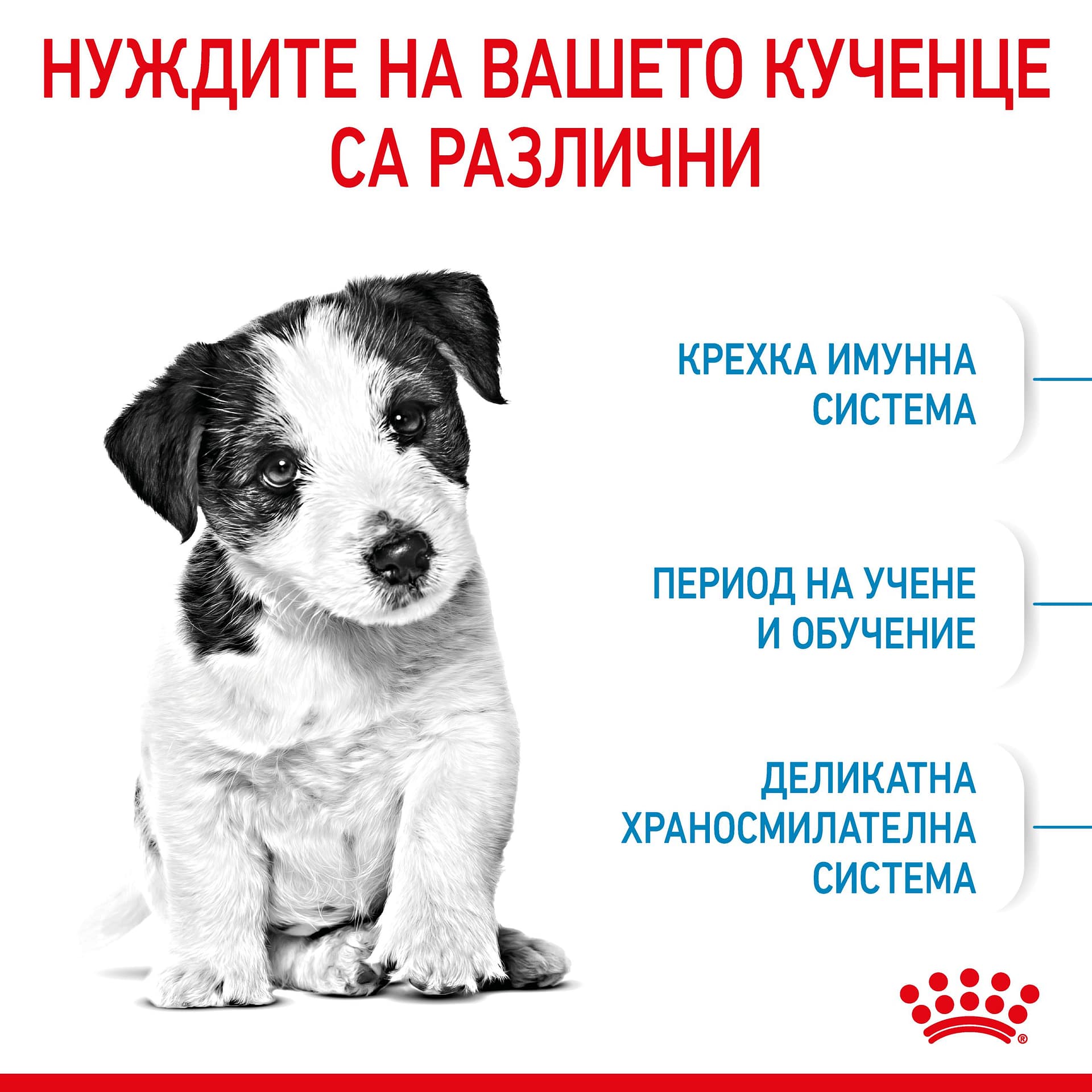 ROYAL CANIN® SHN MINI PUPPY 0.8кг - Image 8