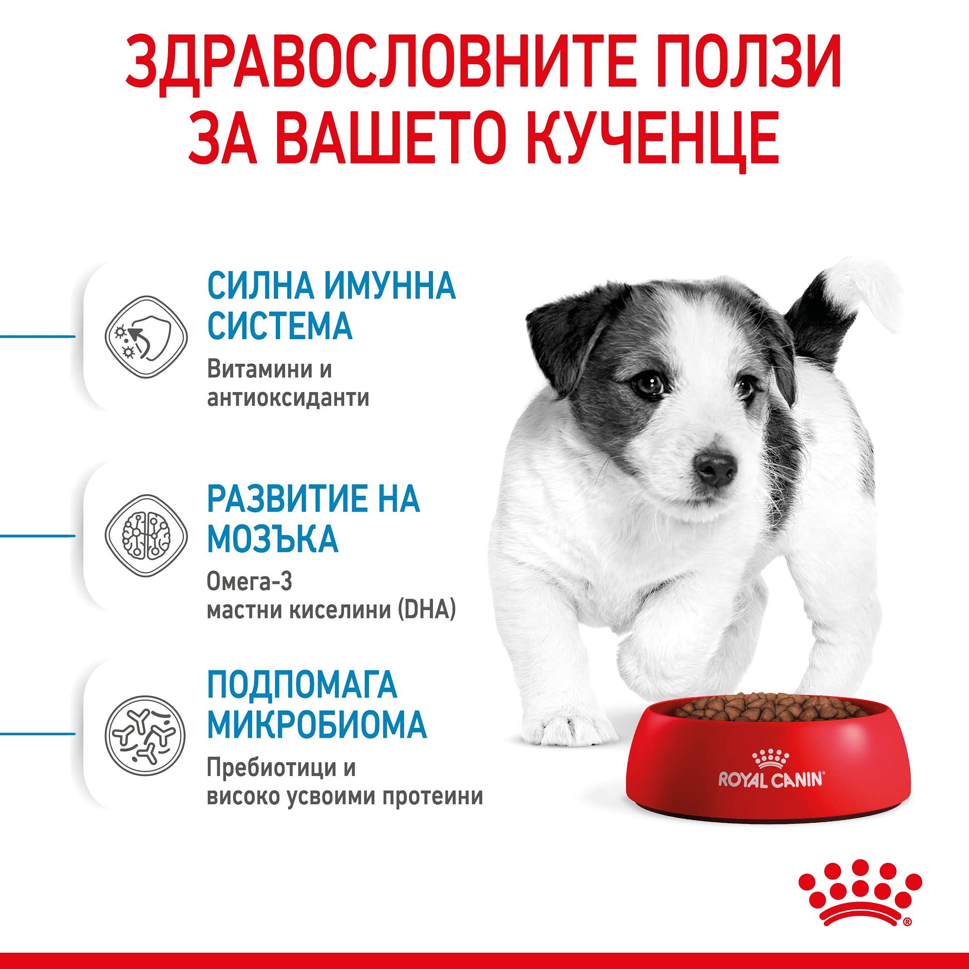 ROYAL CANIN® SHN MINI PUPPY 0.8кг - Image 7