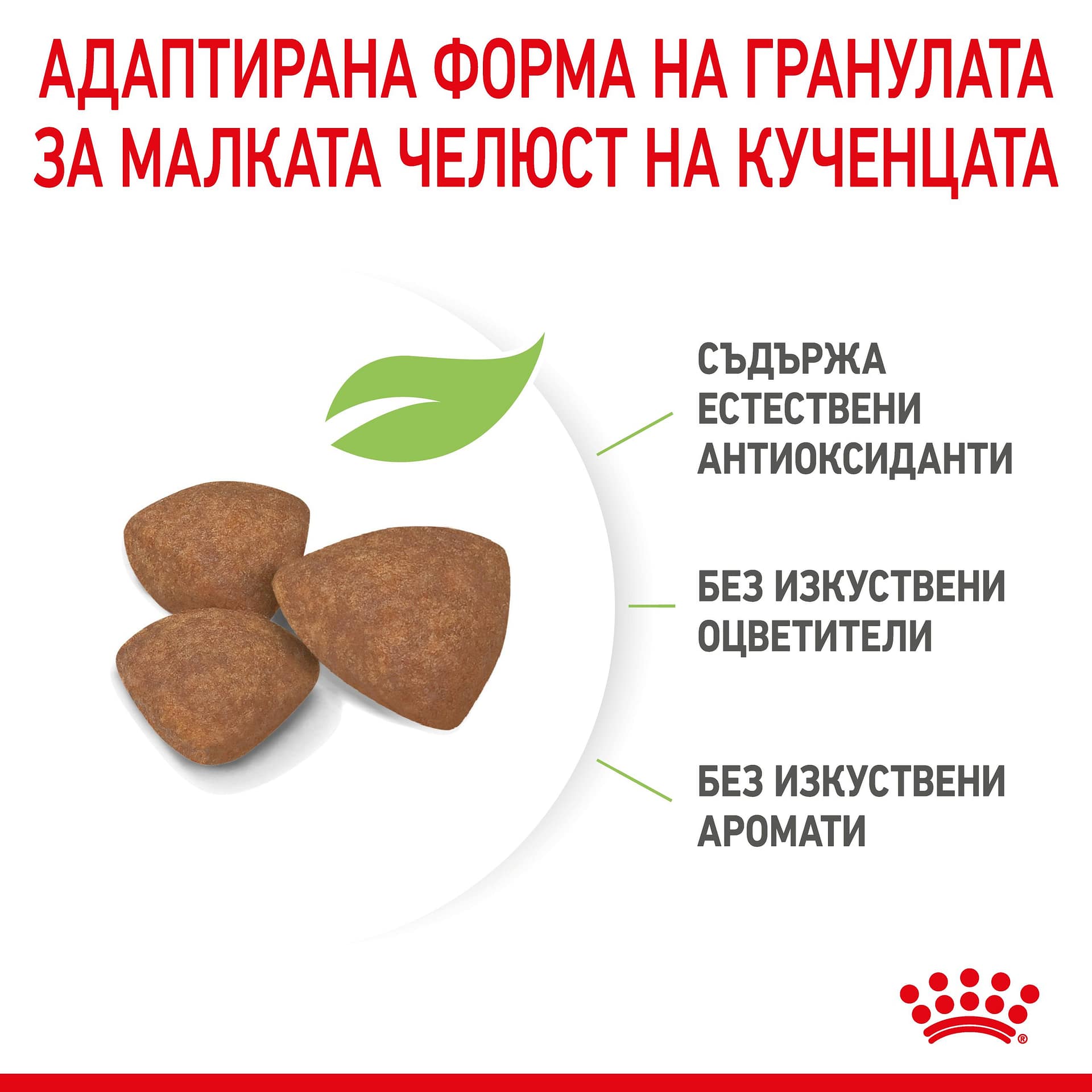 ROYAL CANIN® SHN MINI PUPPY 0.8кг - Image 5