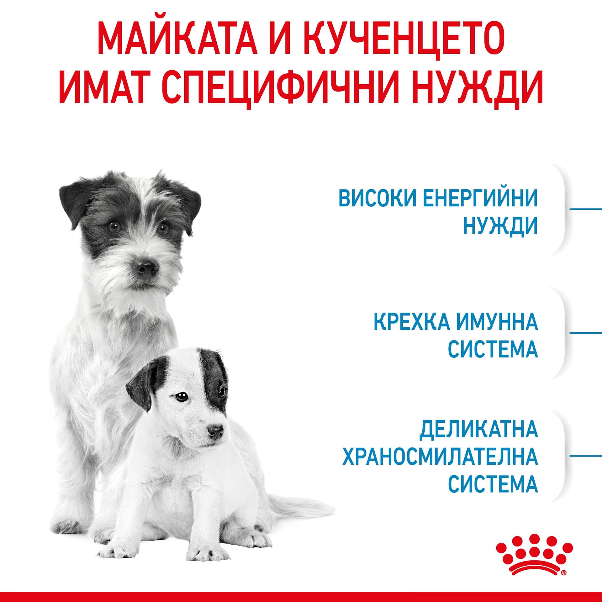 ROYAL CANIN® SHN MINI STARTER MOTHER & BABYDOG 1кг - Image 7