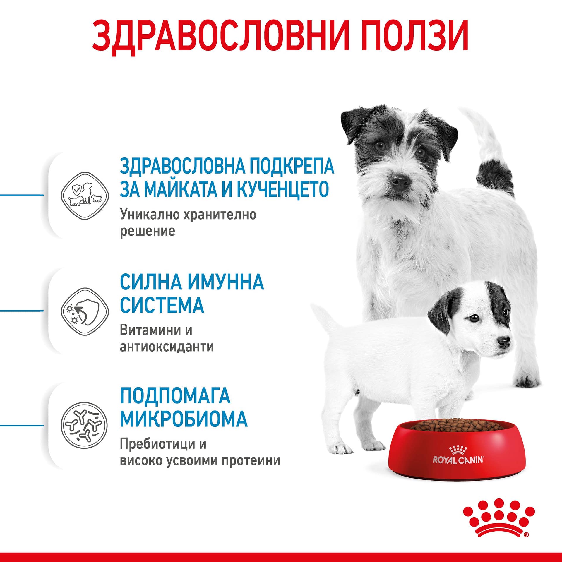 ROYAL CANIN® SHN MINI STARTER MOTHER & BABYDOG 1кг - Image 6