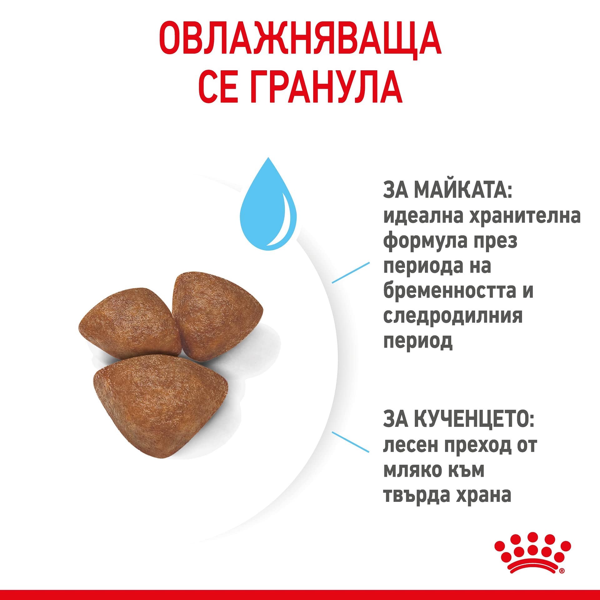 ROYAL CANIN® SHN MINI STARTER MOTHER & BABYDOG 1кг - Image 3
