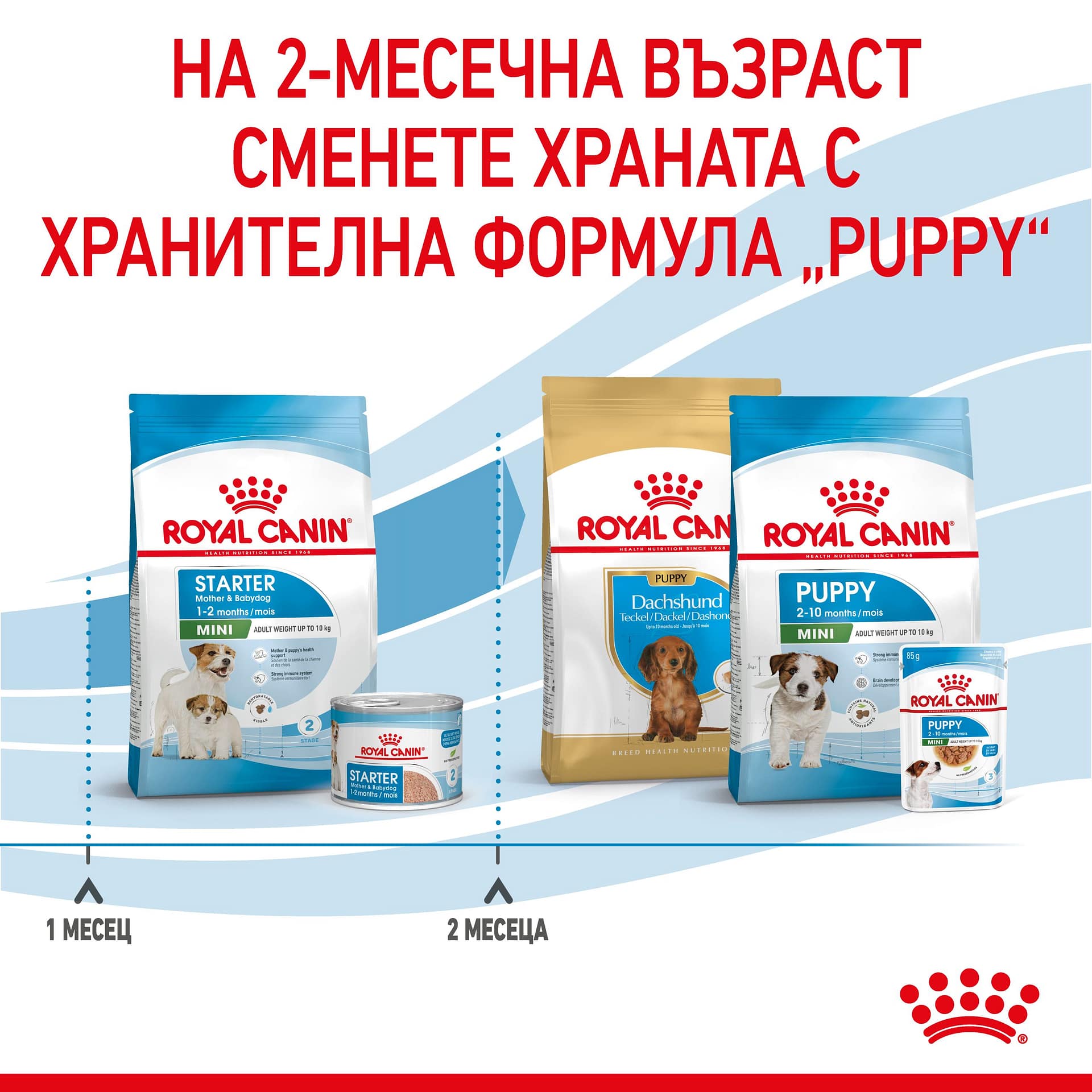 ROYAL CANIN® SHN MINI STARTER MOTHER & BABYDOG 1кг - Image 5