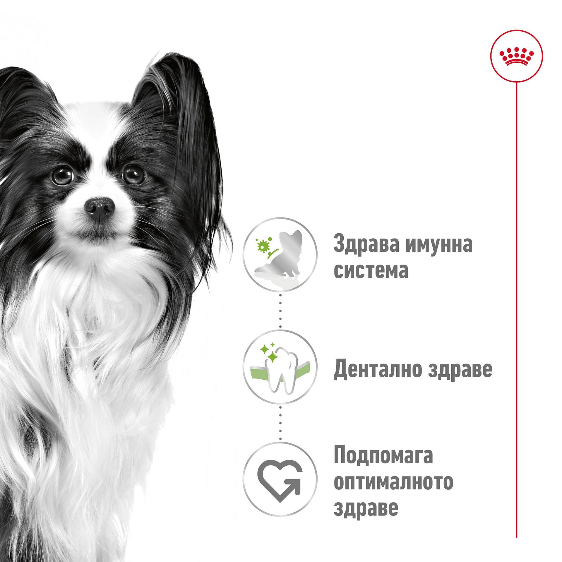 ROYAL CANIN® SHN X-SMALL ADULT хапки в сос 85г стек/12бр - Image 5