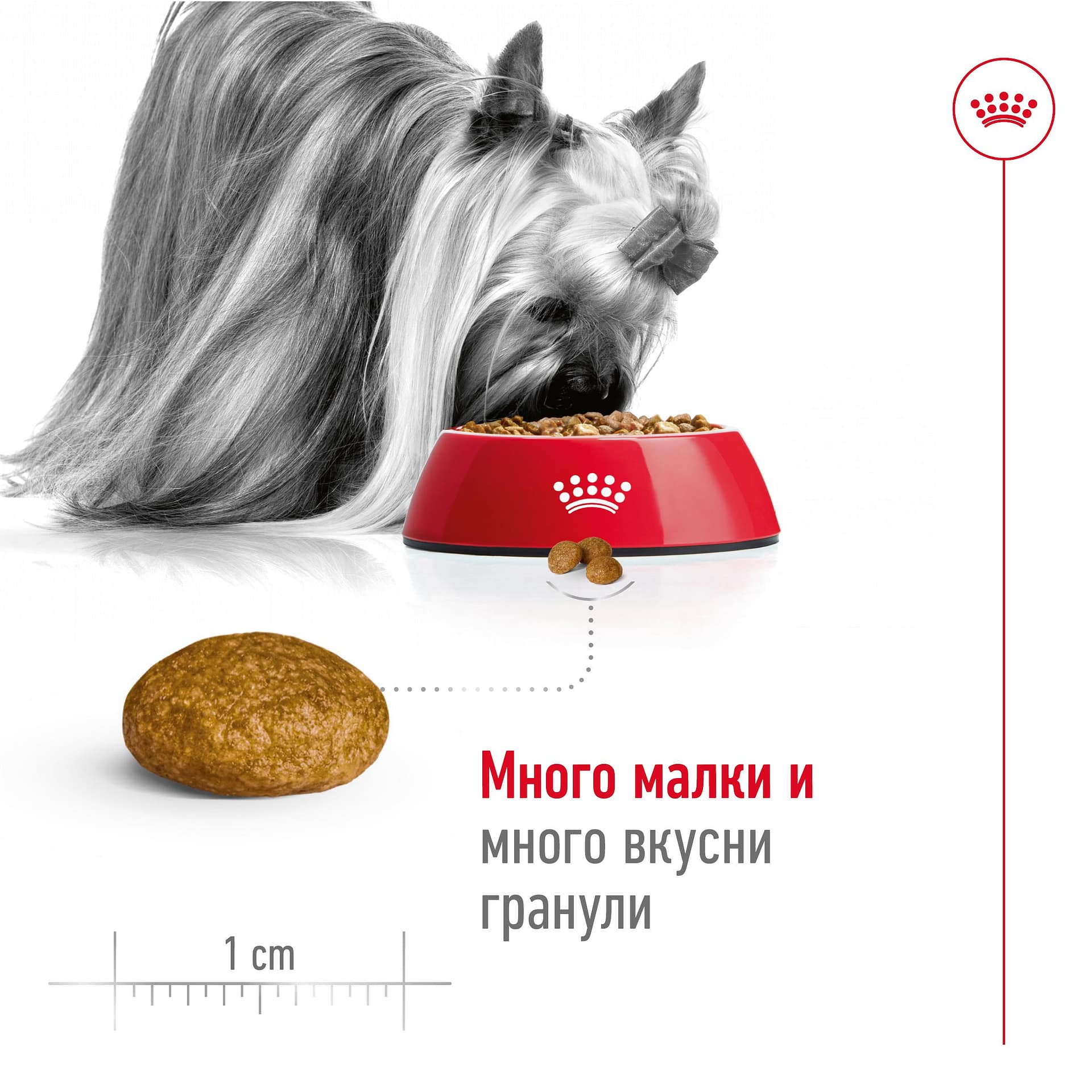 ROYAL CANIN® SHN X-SMALL ADULT 1.5кг - Image 5